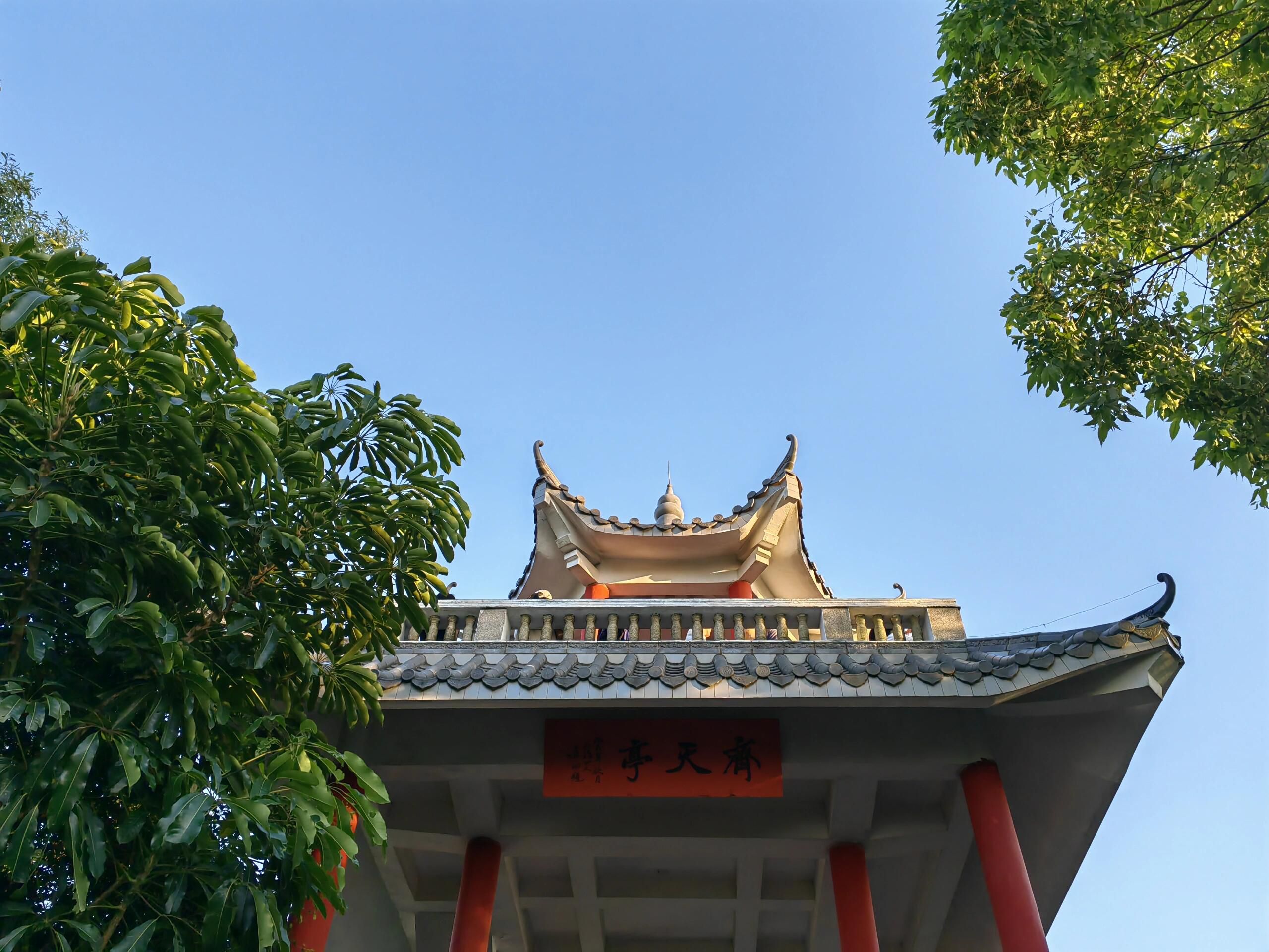 南山公园旅行图片 1