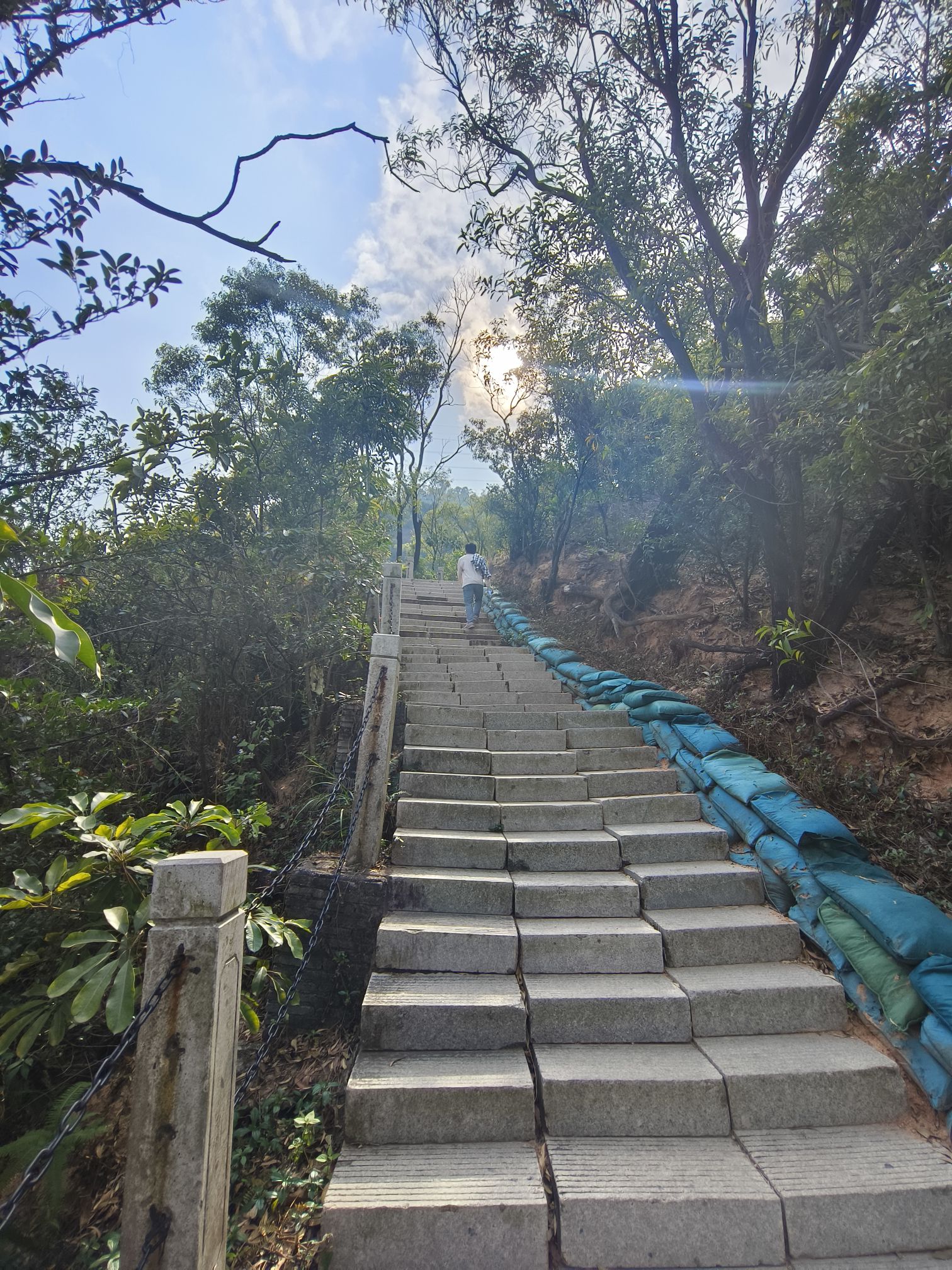 南山公园旅行图片 2