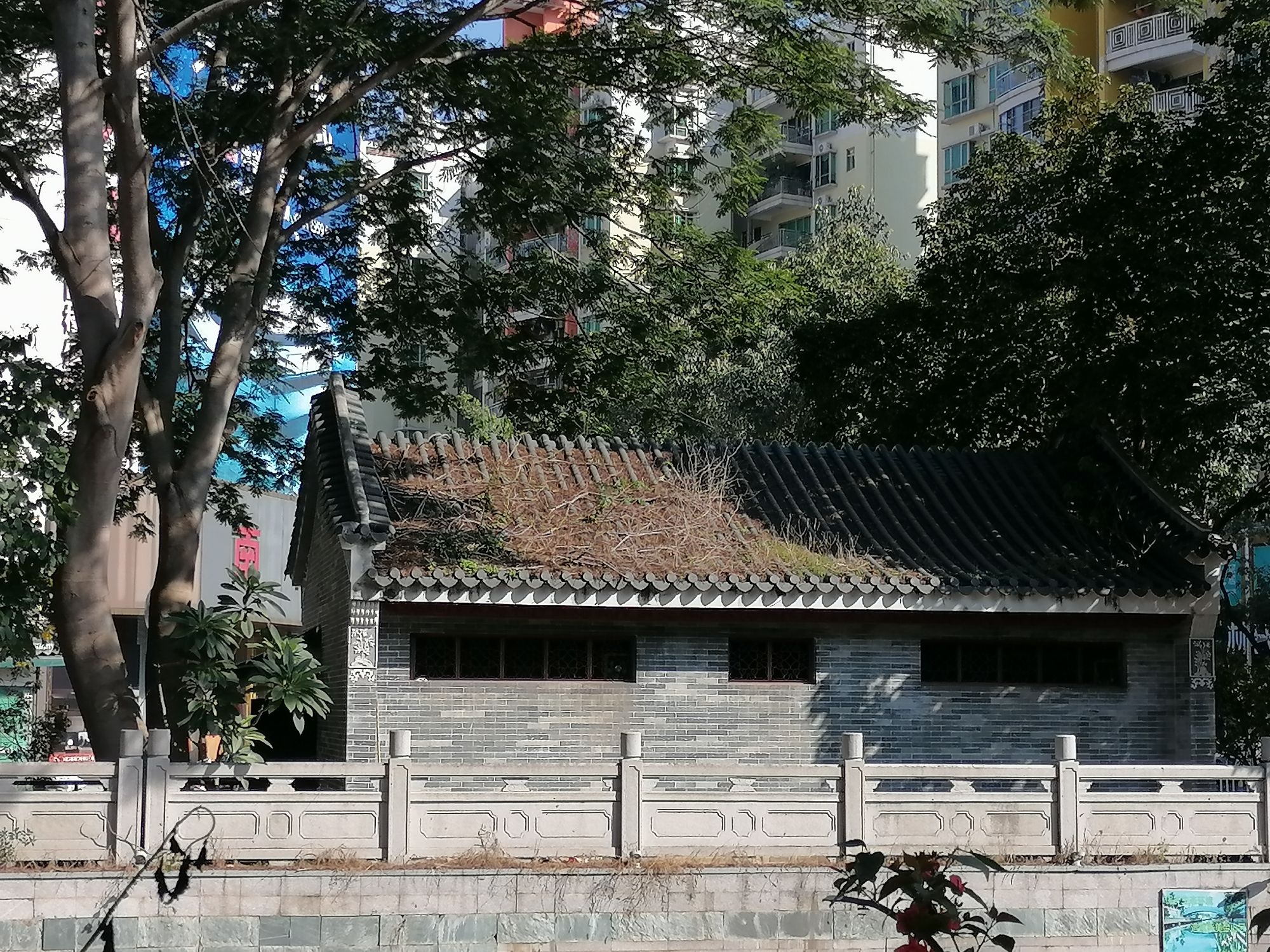 惠州金山河旅行图片 3