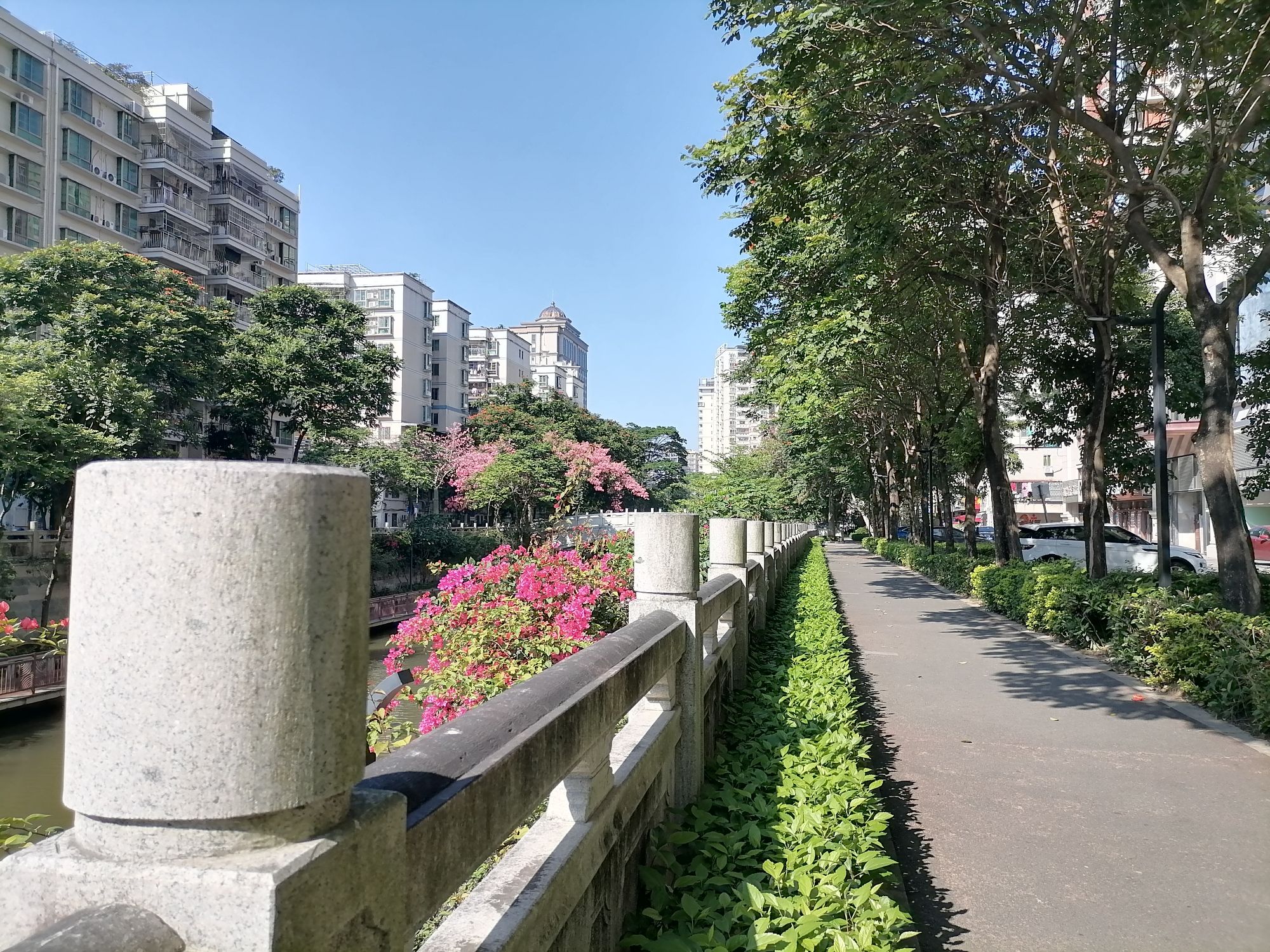 惠州金山河旅行图片 2