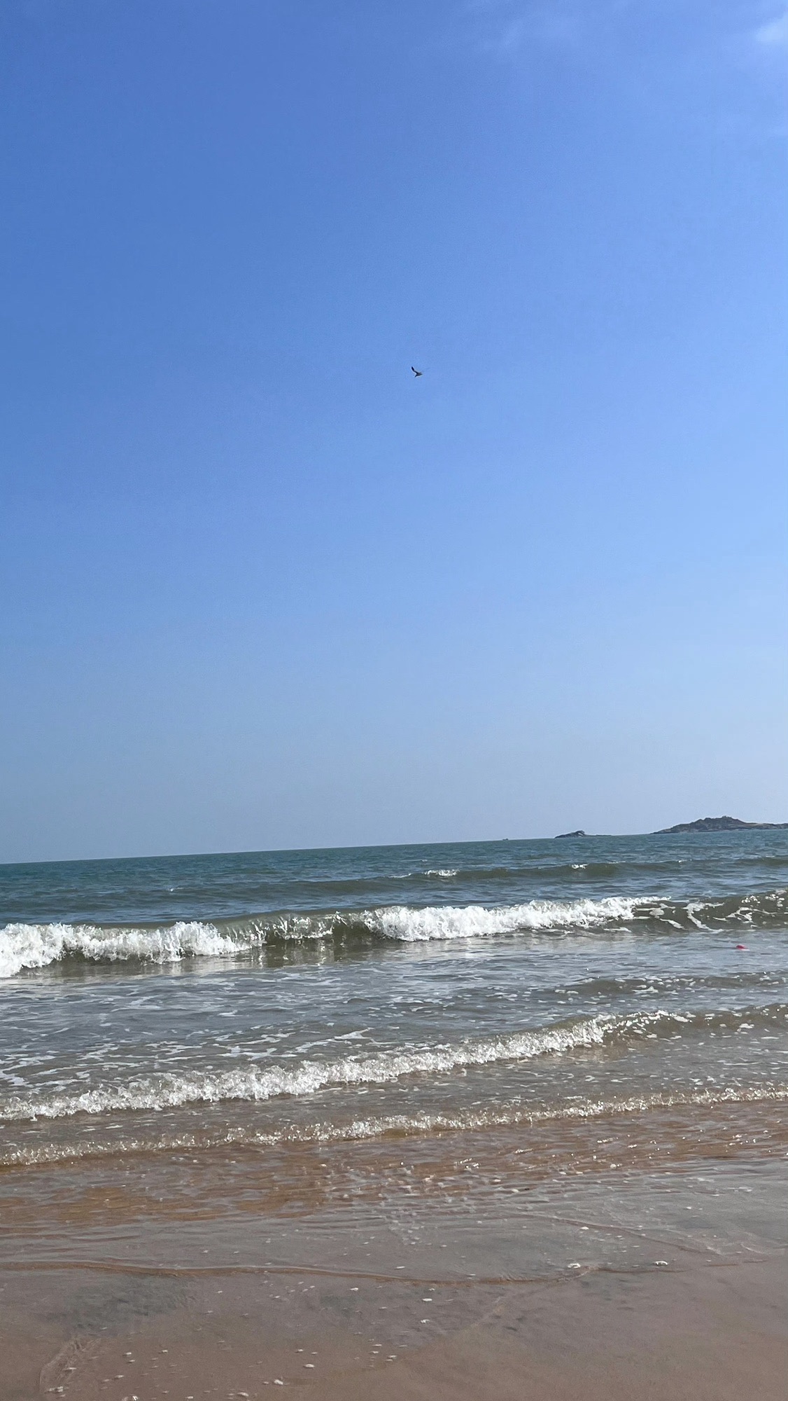 月亮湾沙滩旅行图片 2