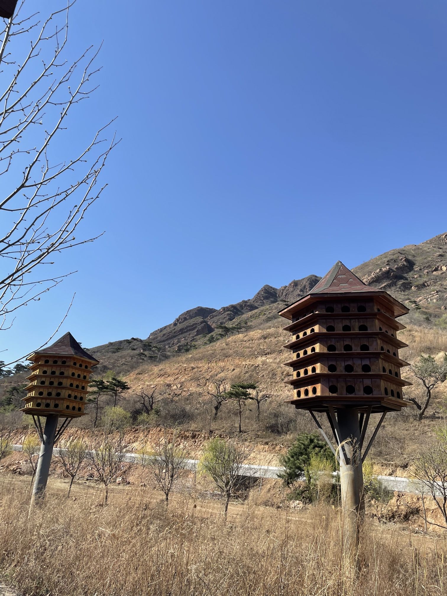 塔寺峪风景区旅行图片 2