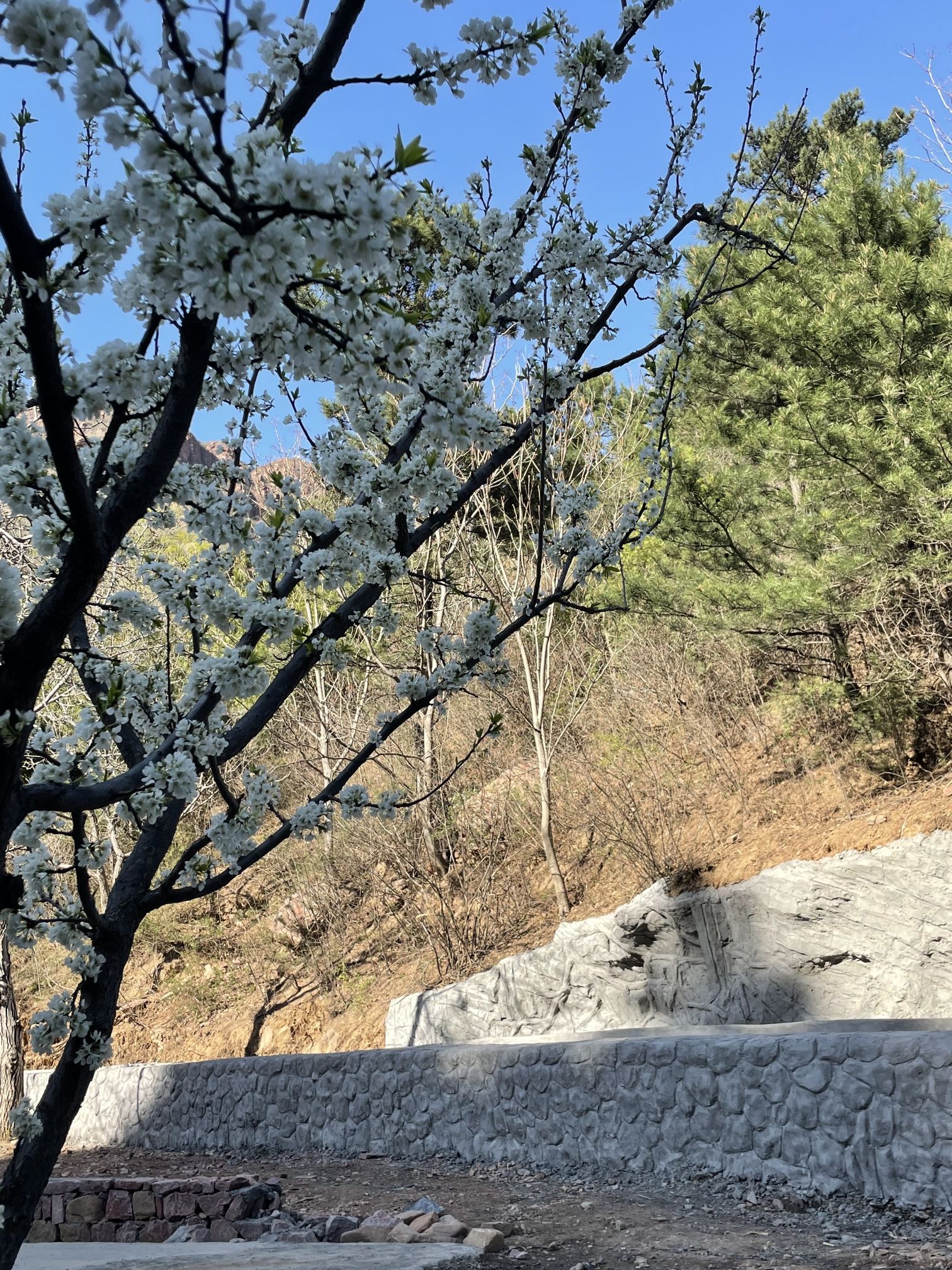 塔寺峪风景区旅行图片 3
