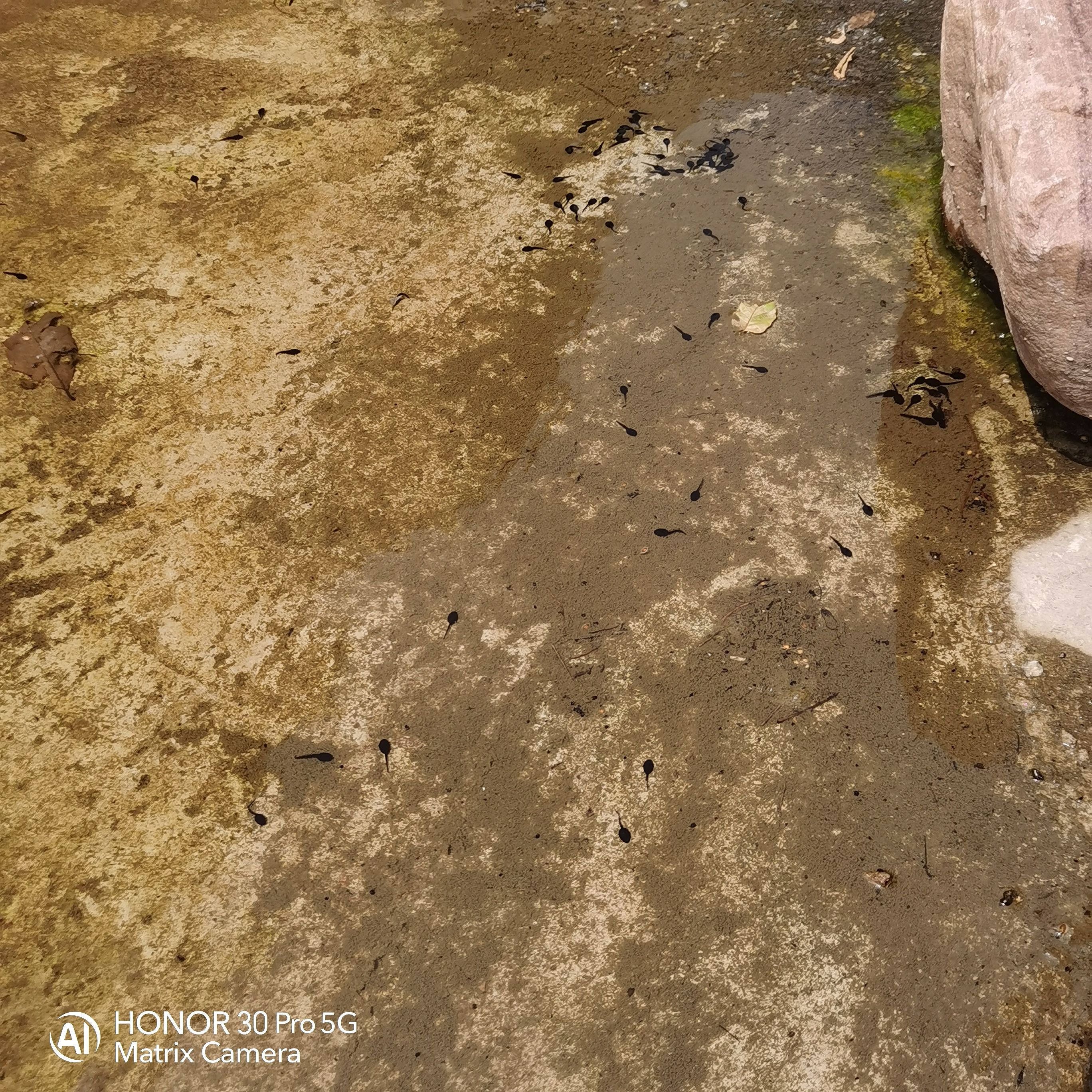 塔寺峪风景区旅行图片 1