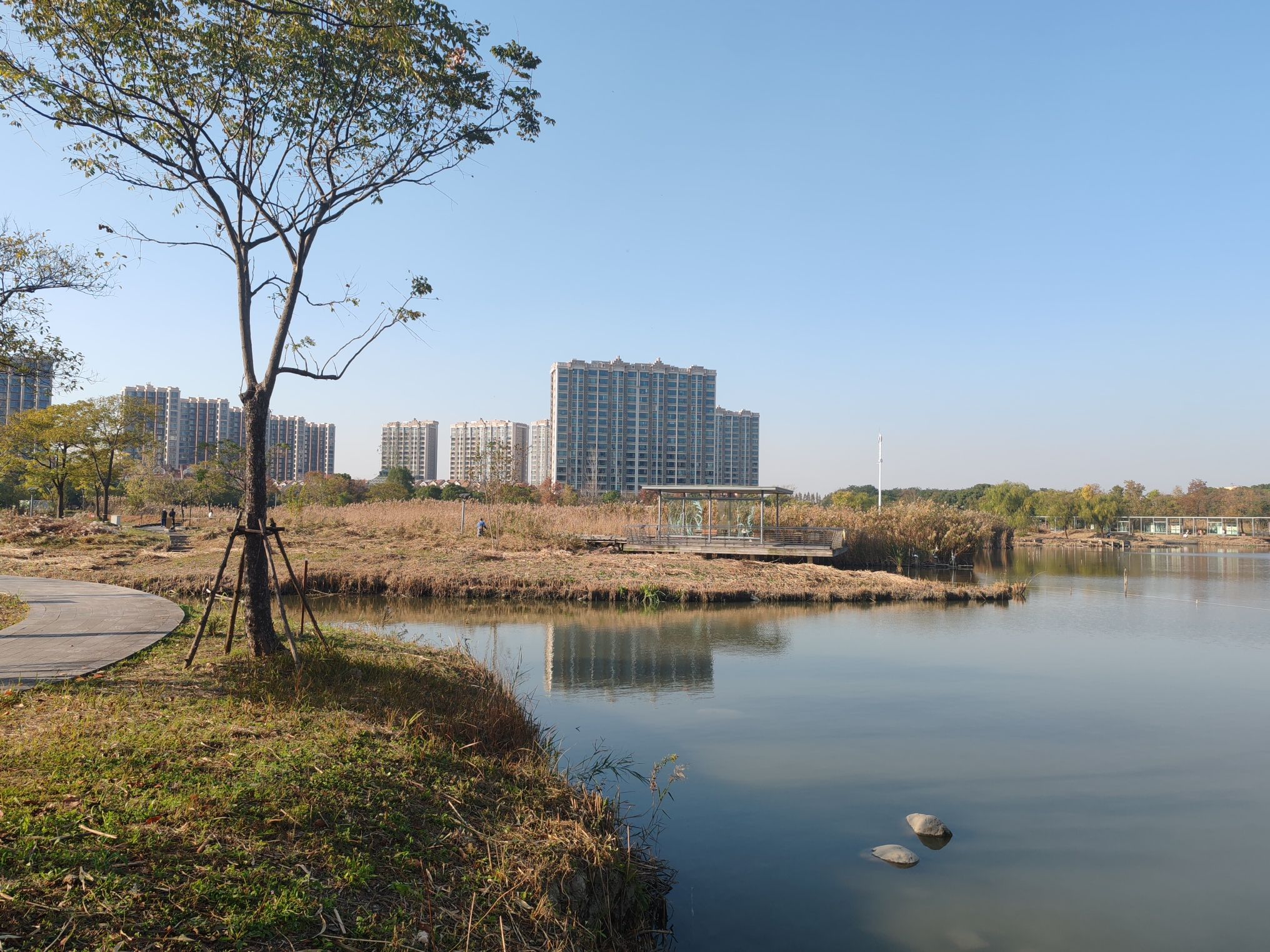 留云湖旅行图片 1