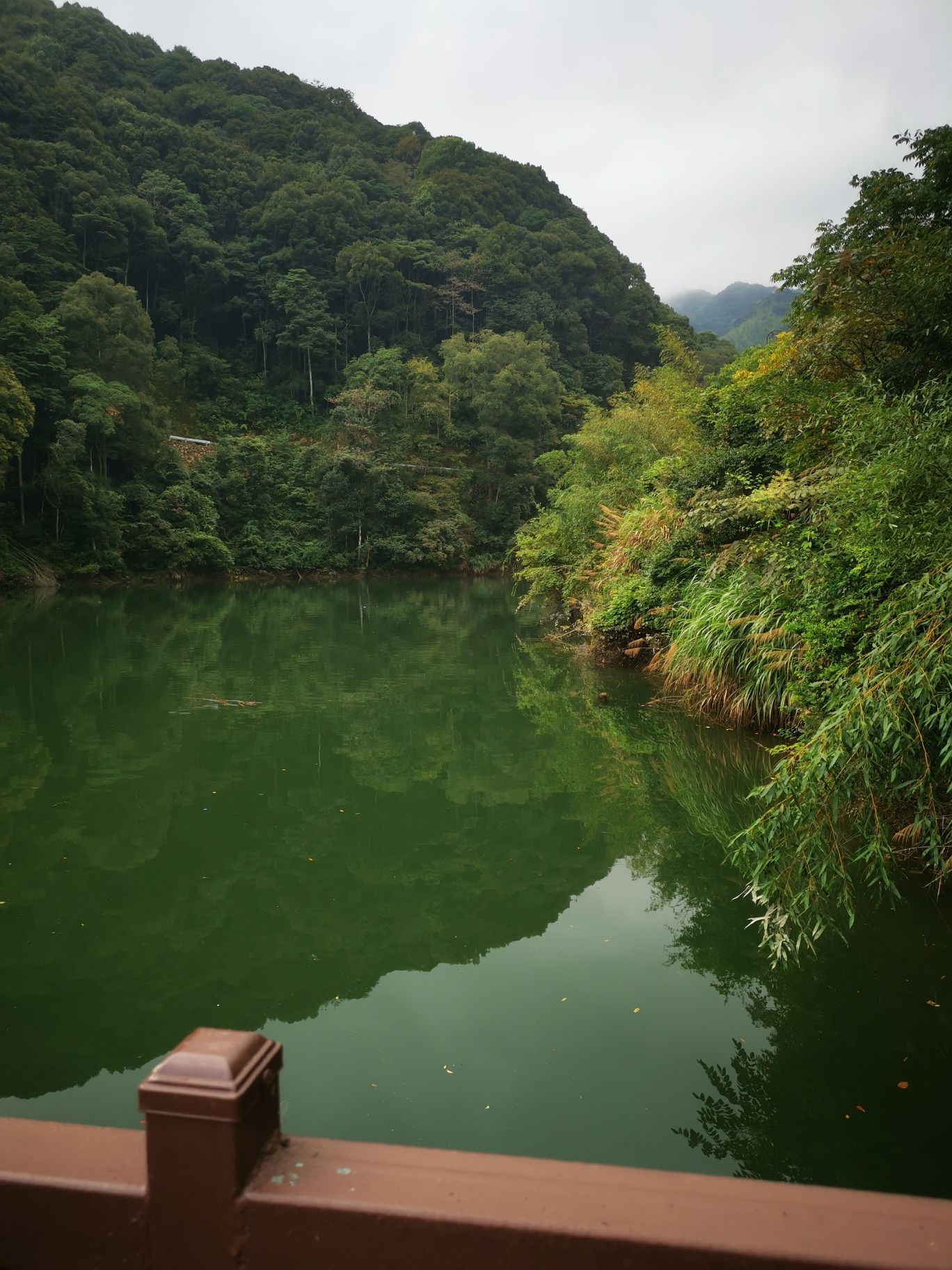 龙岩森林水乡景区旅行图片 3