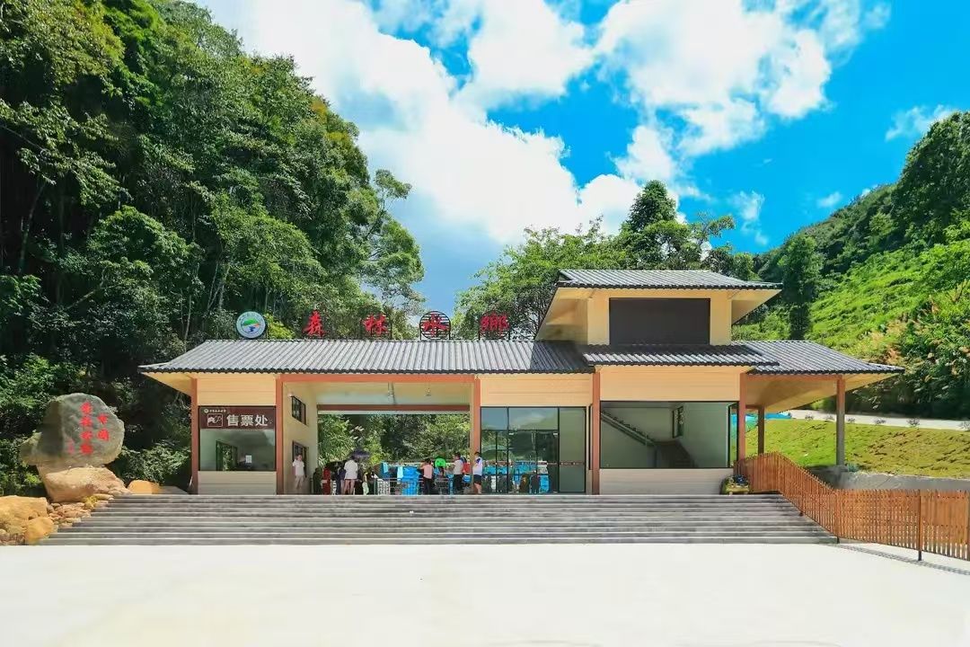 龙岩森林水乡景区旅行图片 3
