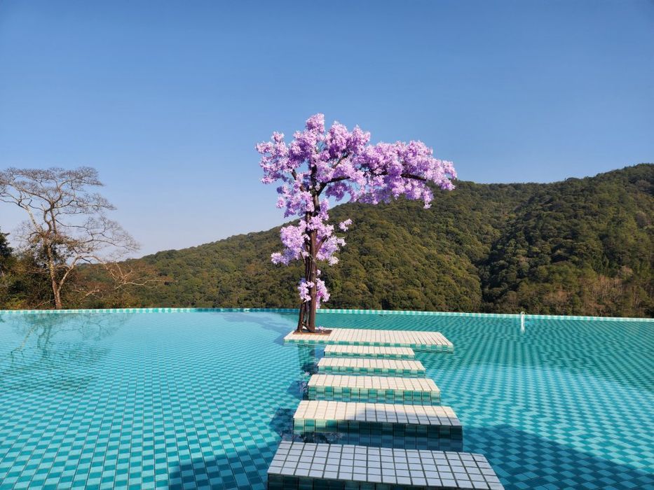 龙岩森林水乡景区