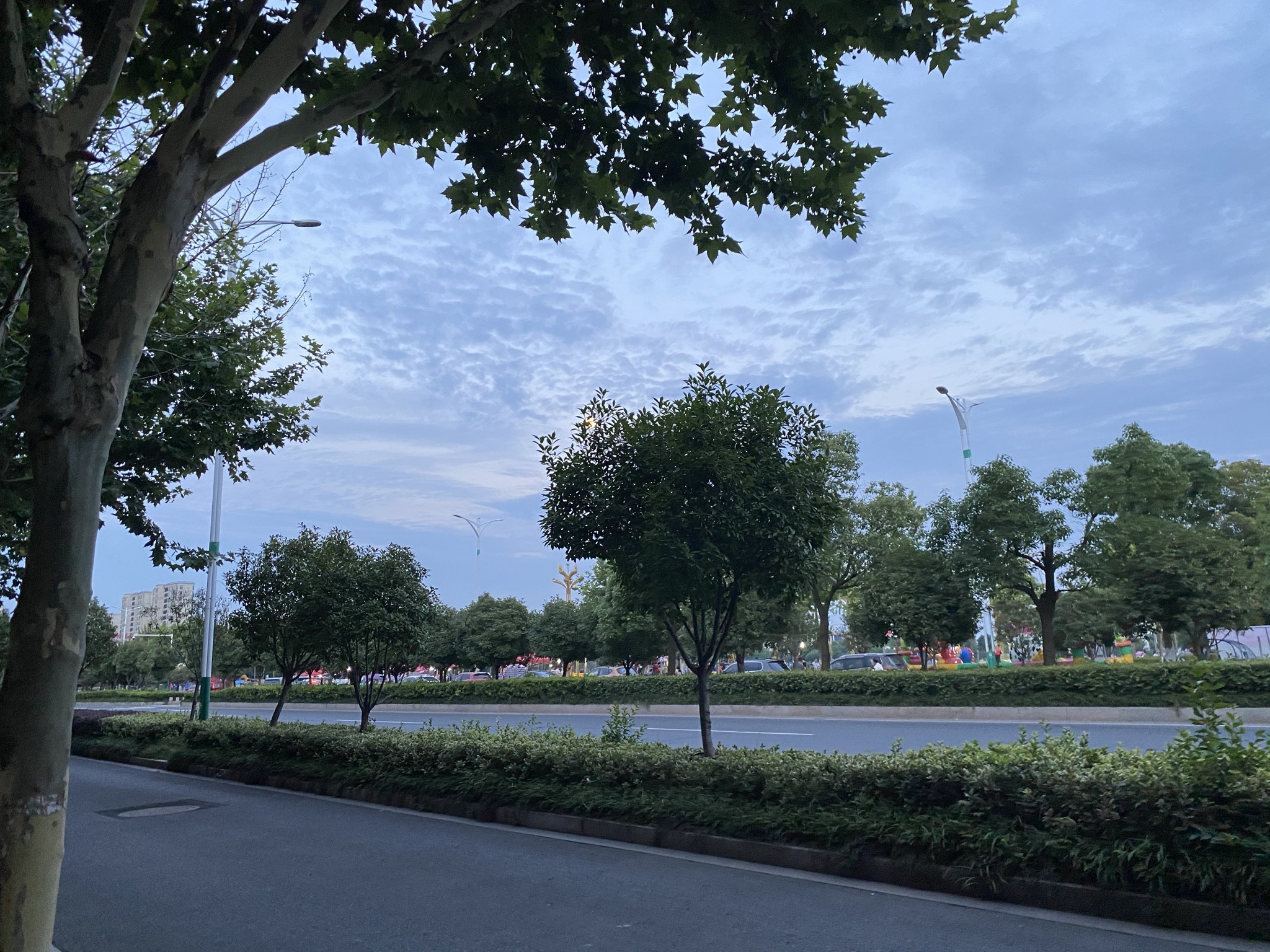 城南公园旅行图片 2