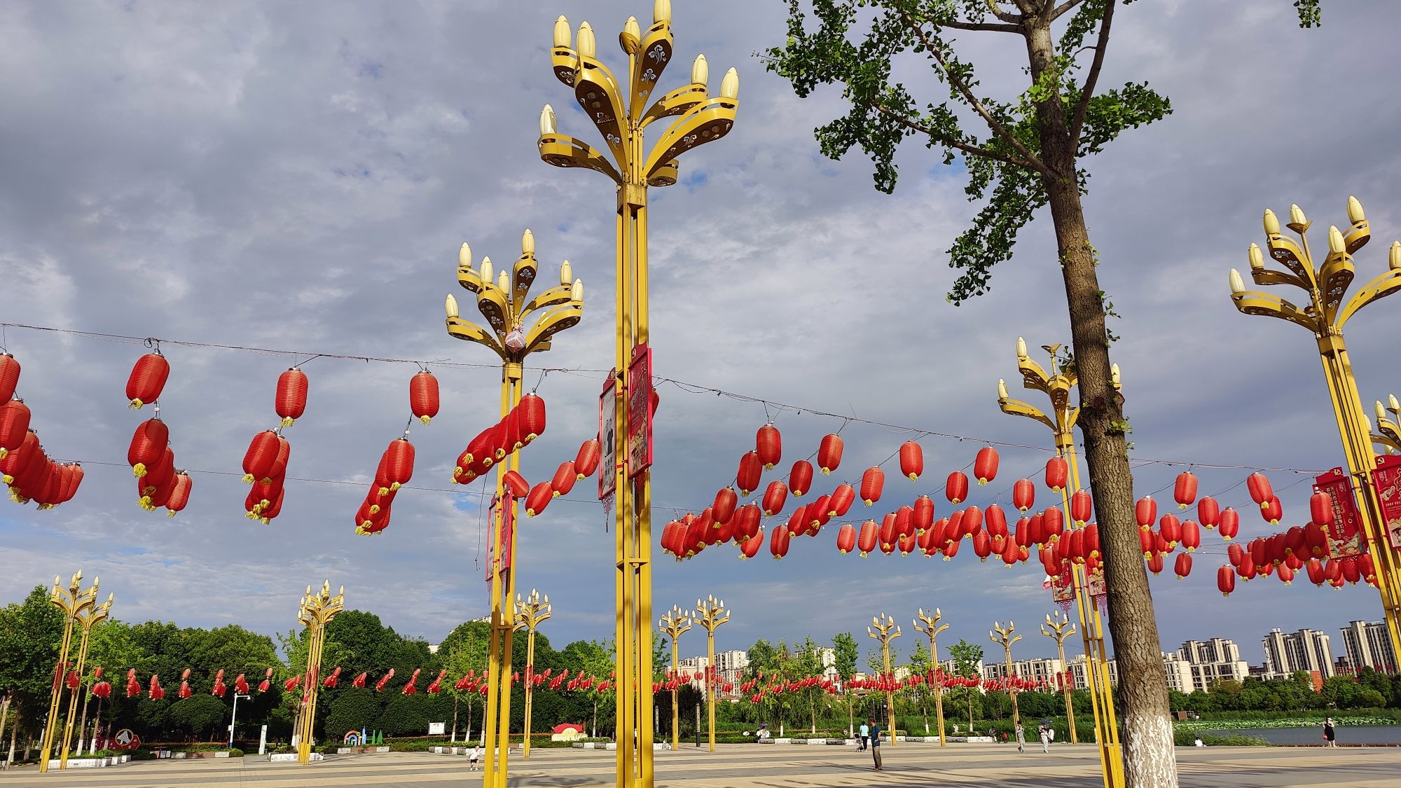 城南公园旅行图片 3