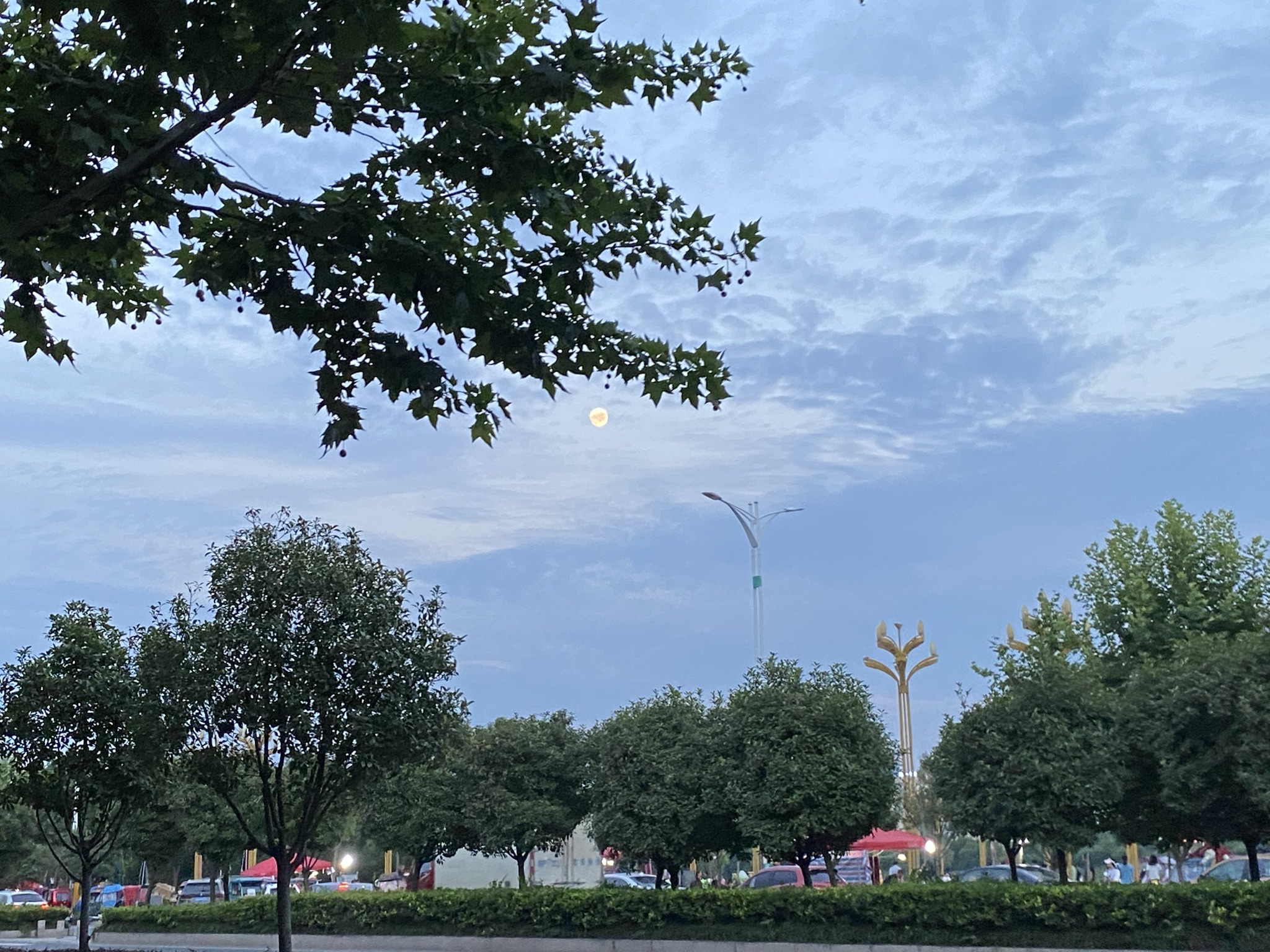 城南公园旅行图片 1