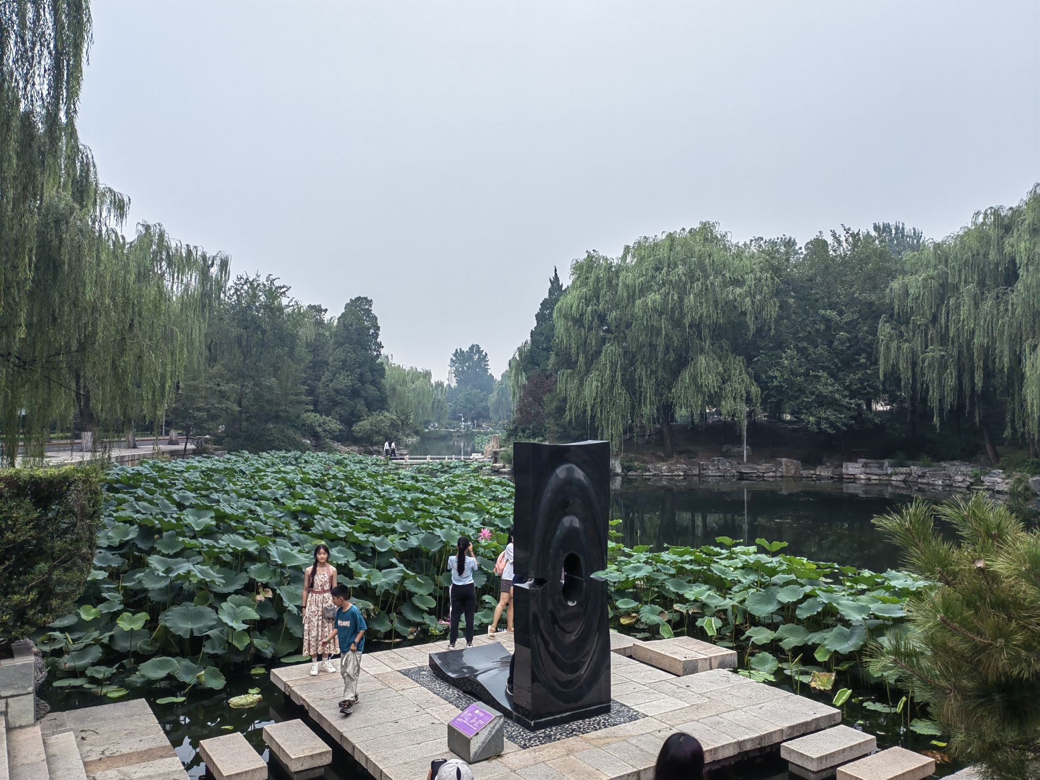 清华荷塘旅行图片 2