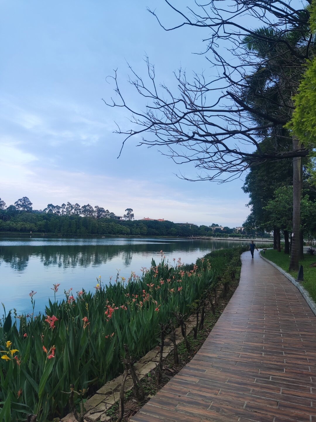 南国桃园旅行图片 3