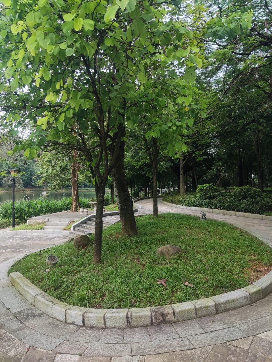 南国桃园旅行图片 2