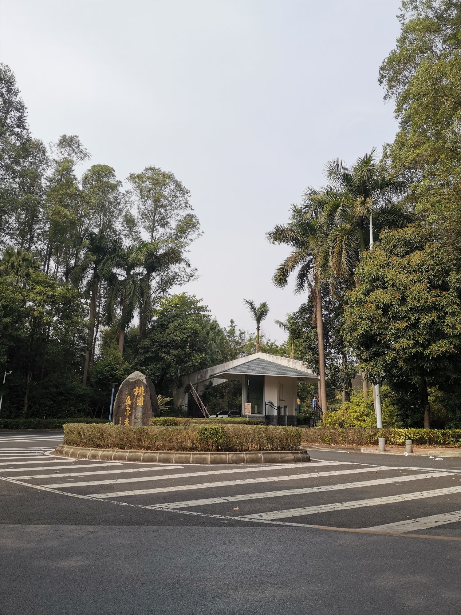 南国桃园旅行图片 1
