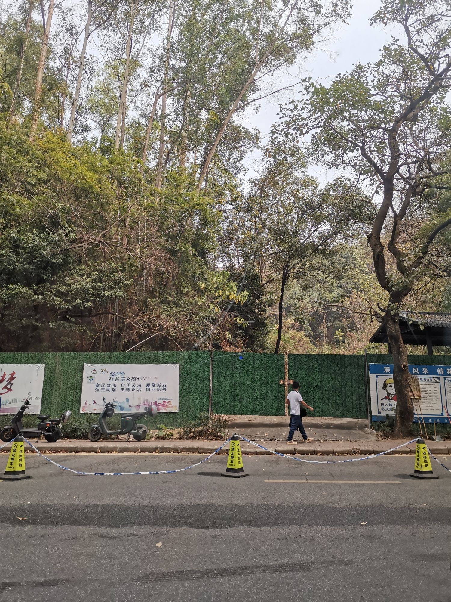 南国桃园旅行图片 2