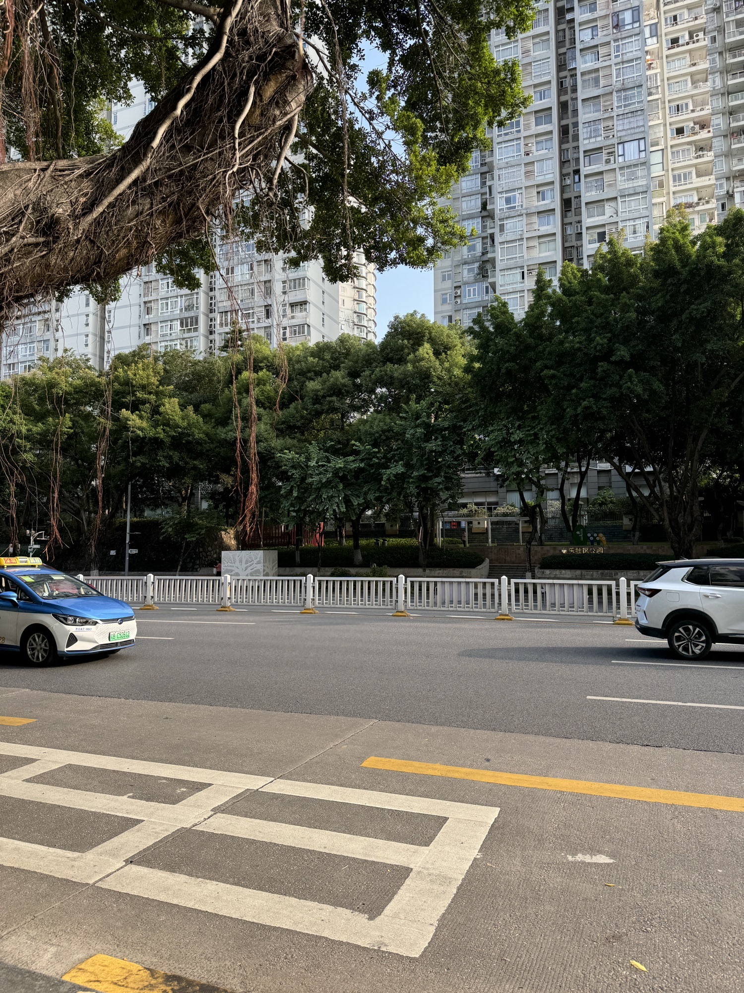 童乐社区公园旅行图片 2