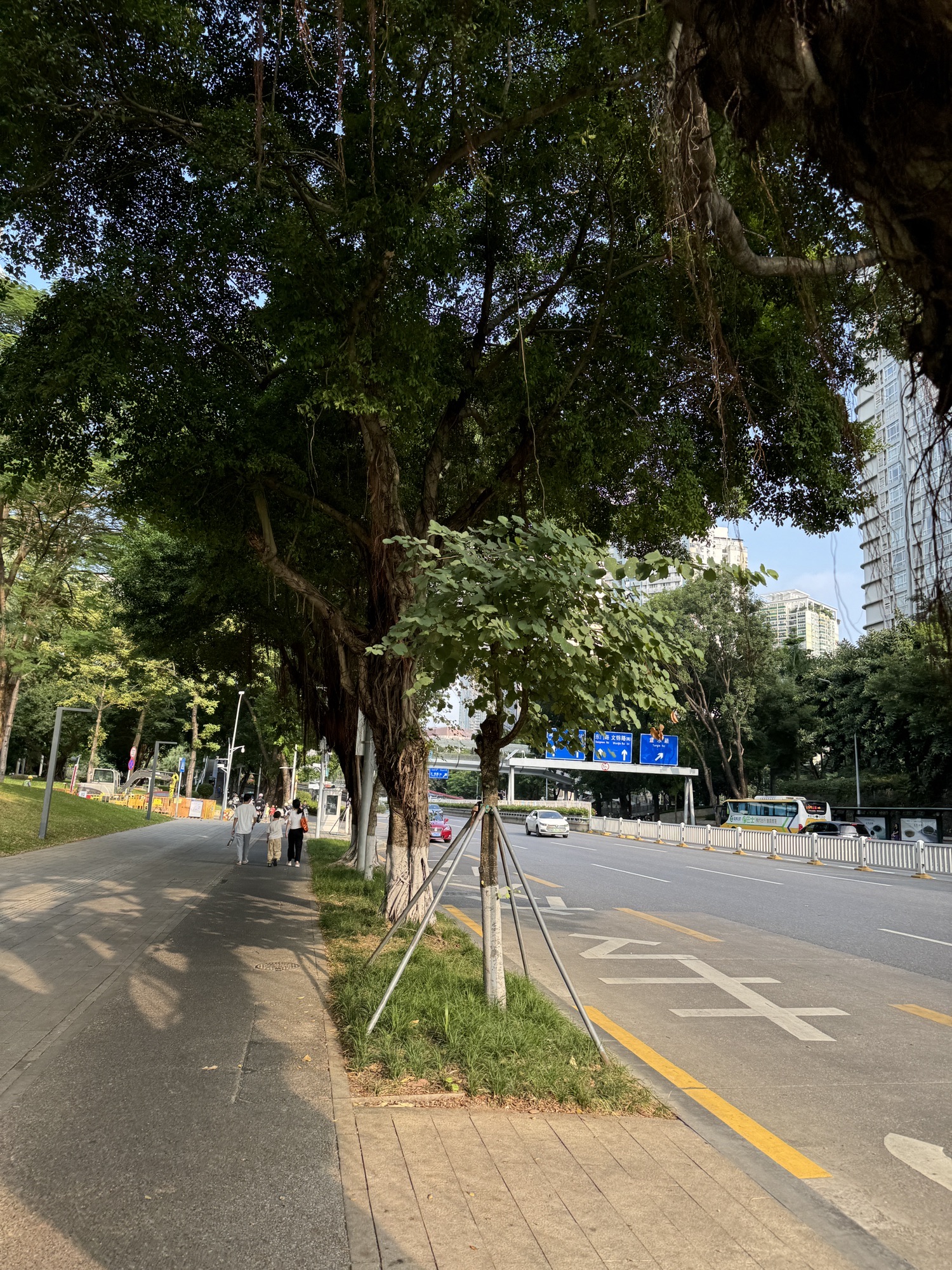 童乐社区公园旅行图片 3