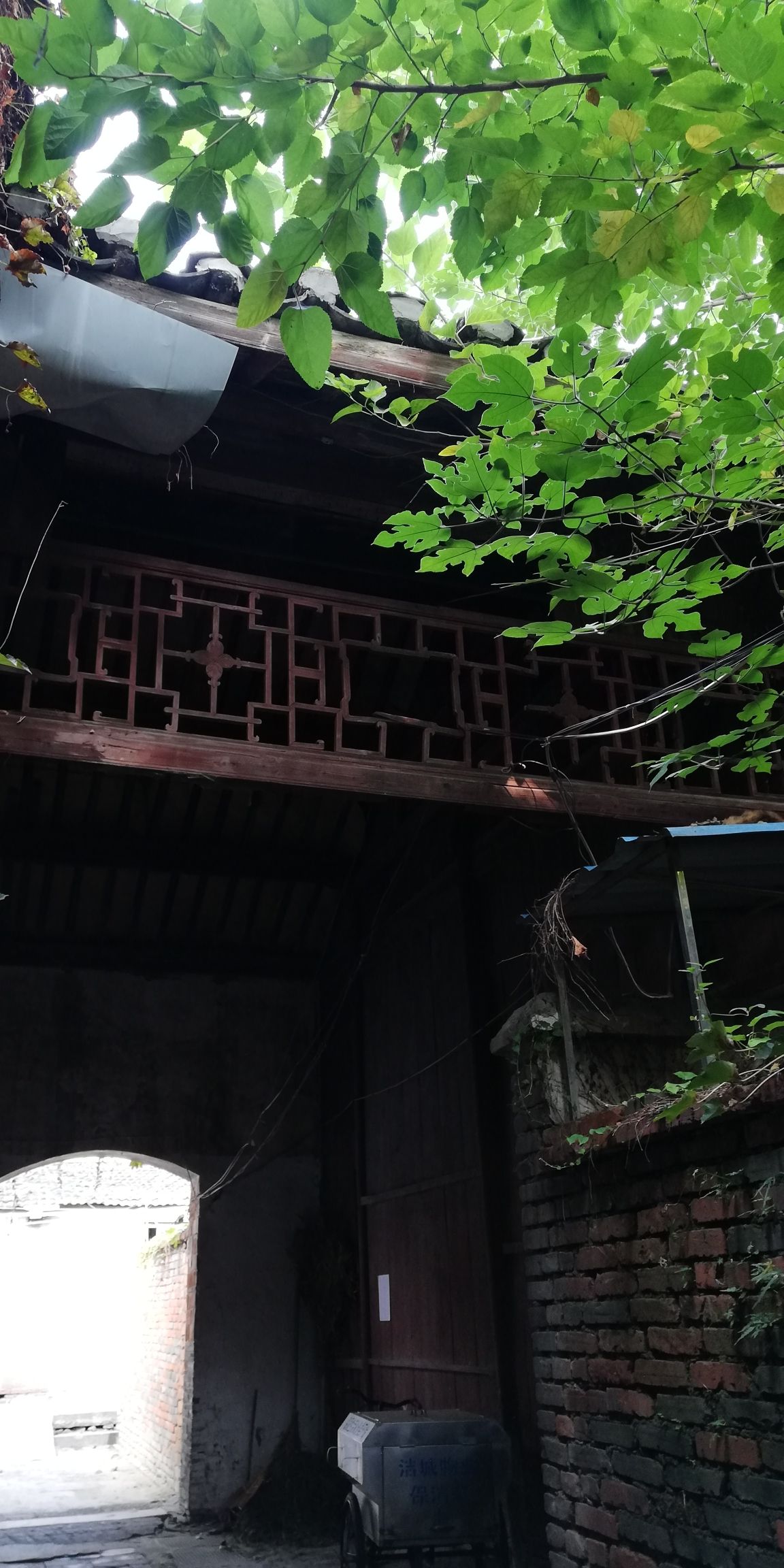 县府街34号清代民居旅行图片 2