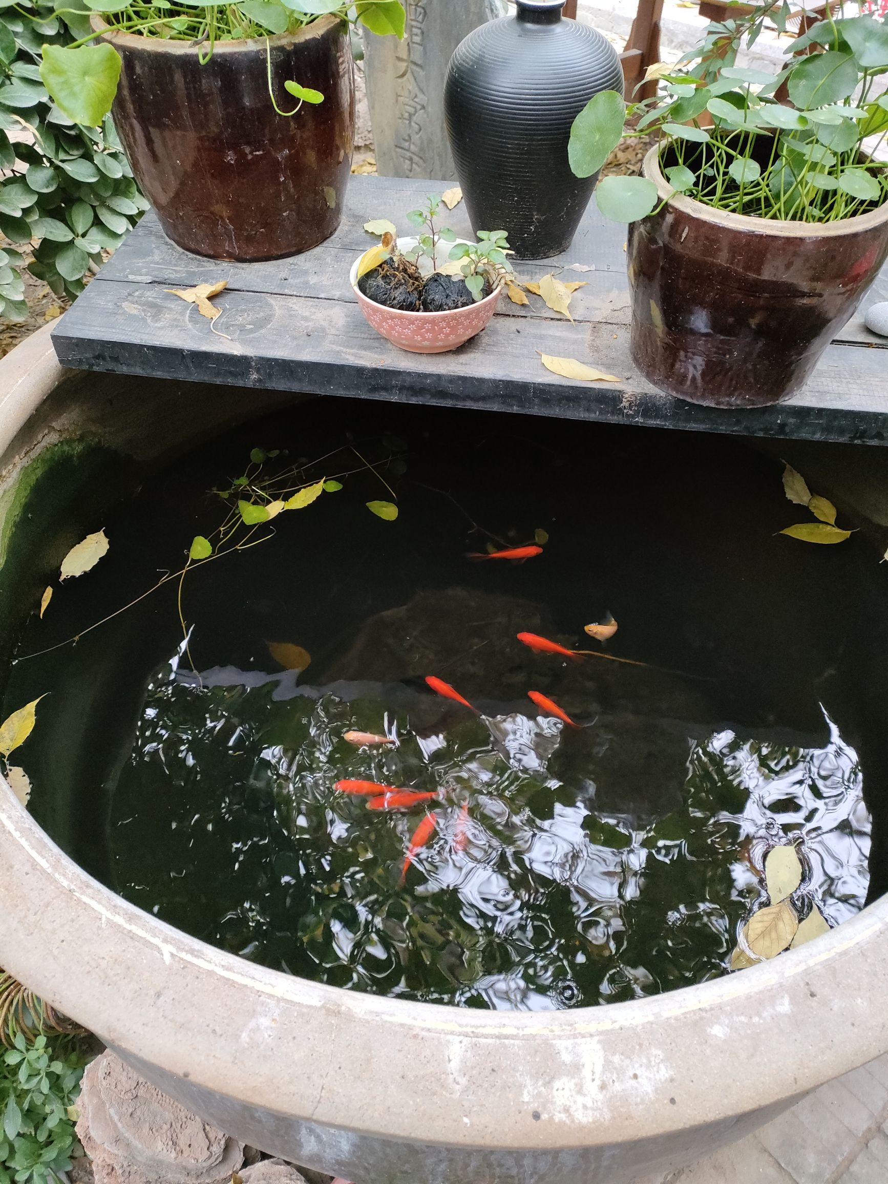 旌忠祠旅行图片 2