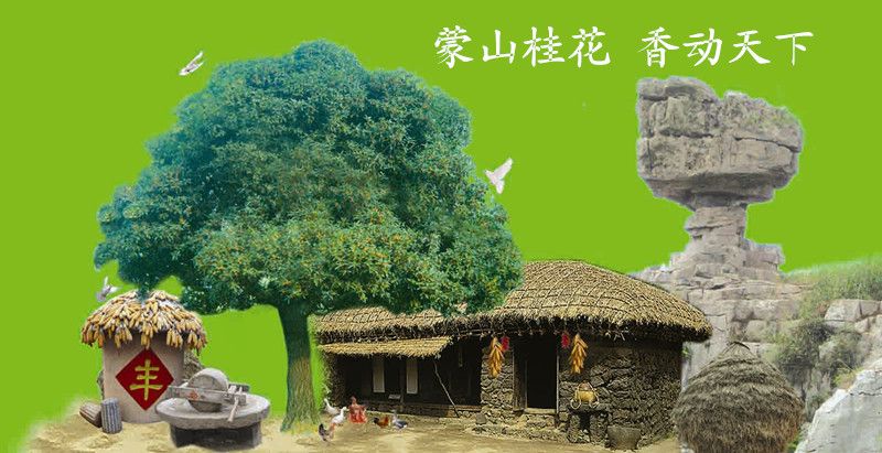 蒙山桂花园旅行图片 1