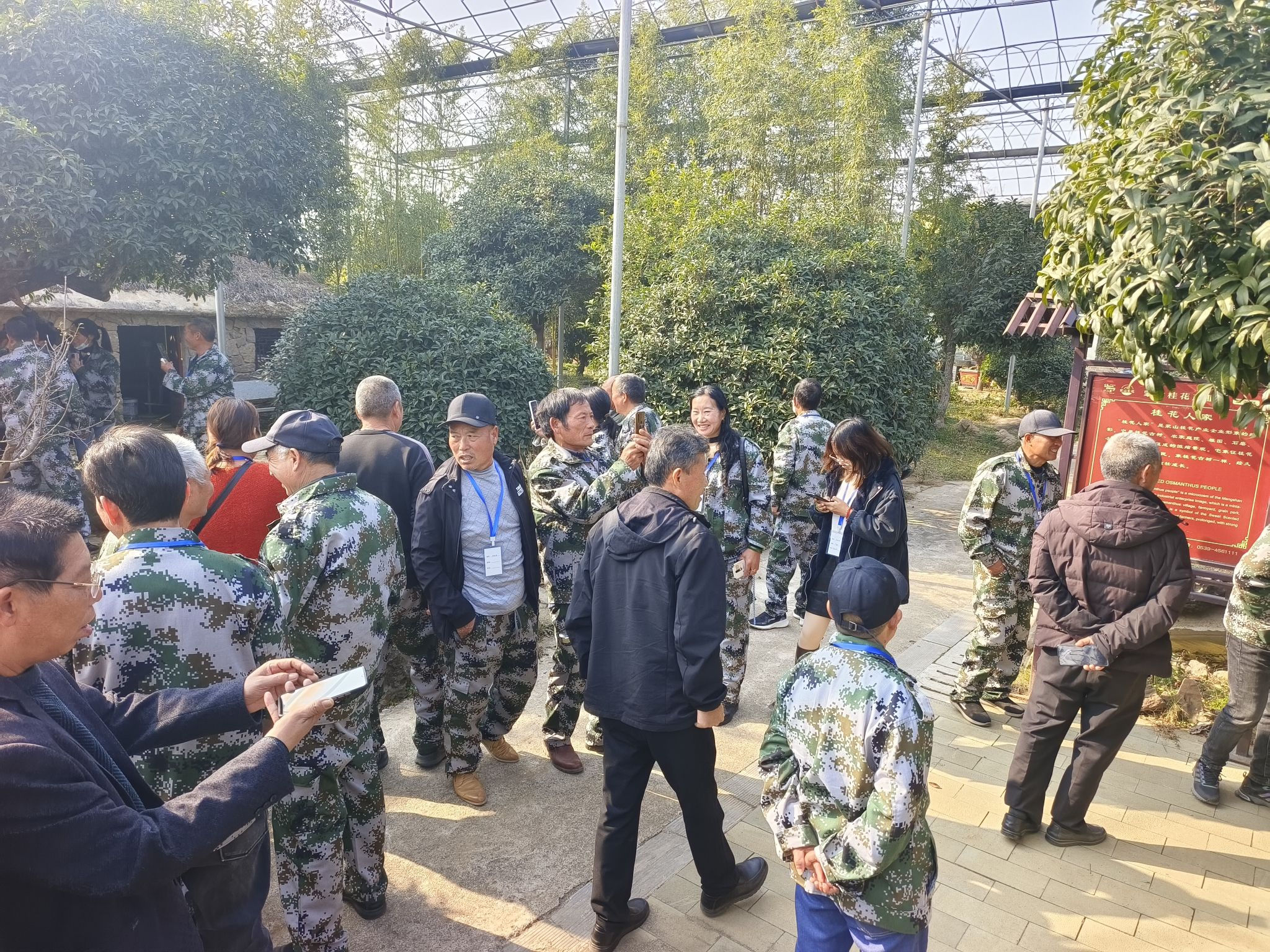 蒙山桂花园旅行图片 2
