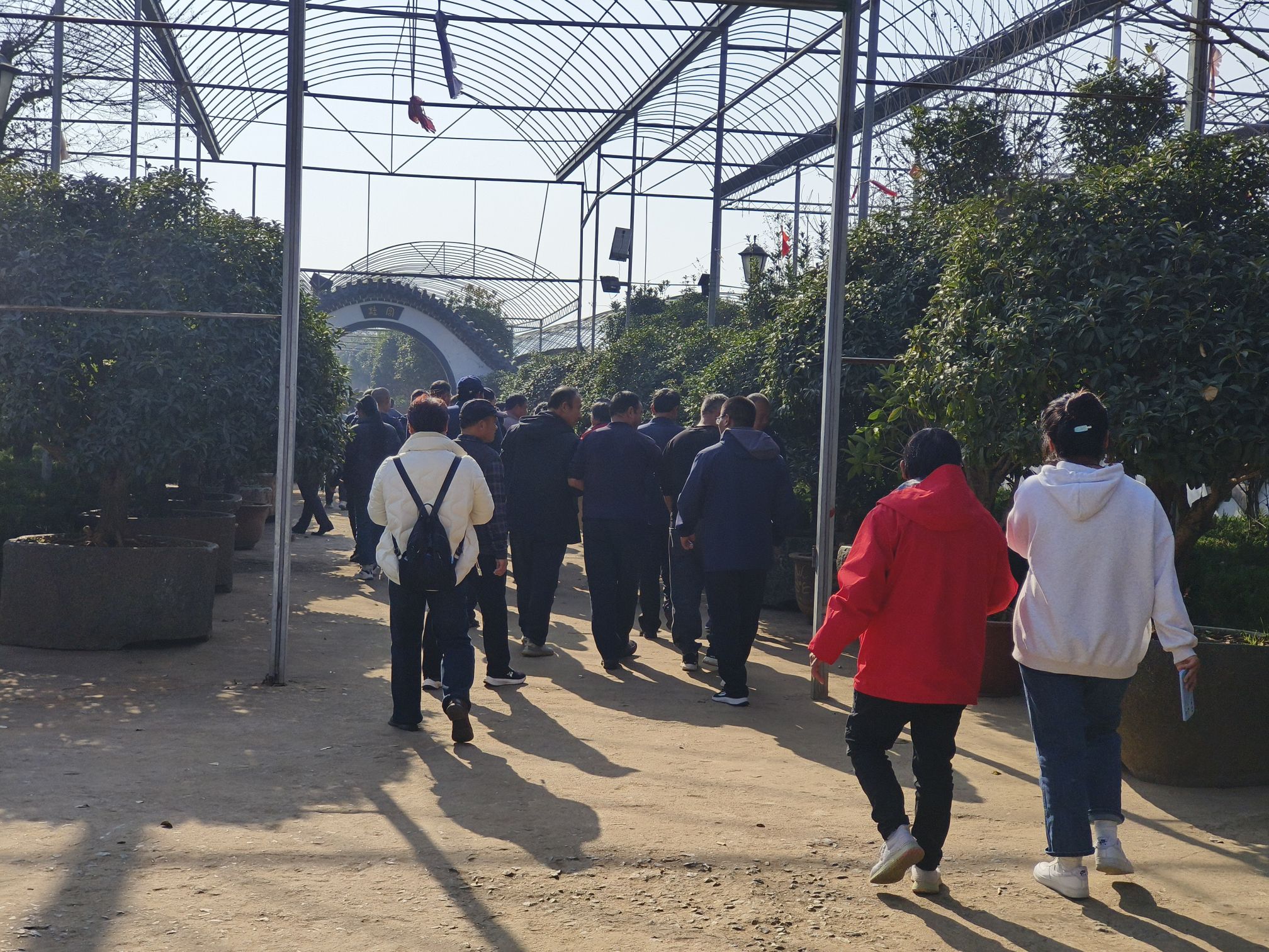 蒙山桂花园旅行图片 1