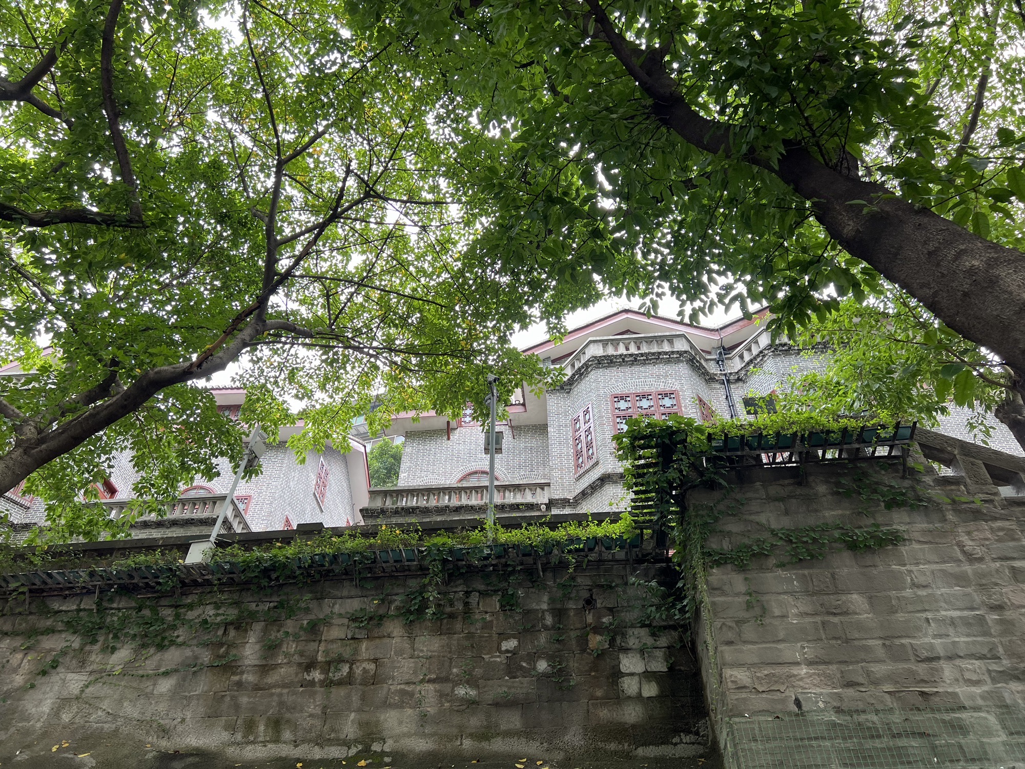 特园旅行图片 3