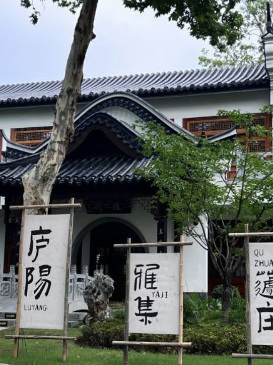 望湖公园旅行图片 1
