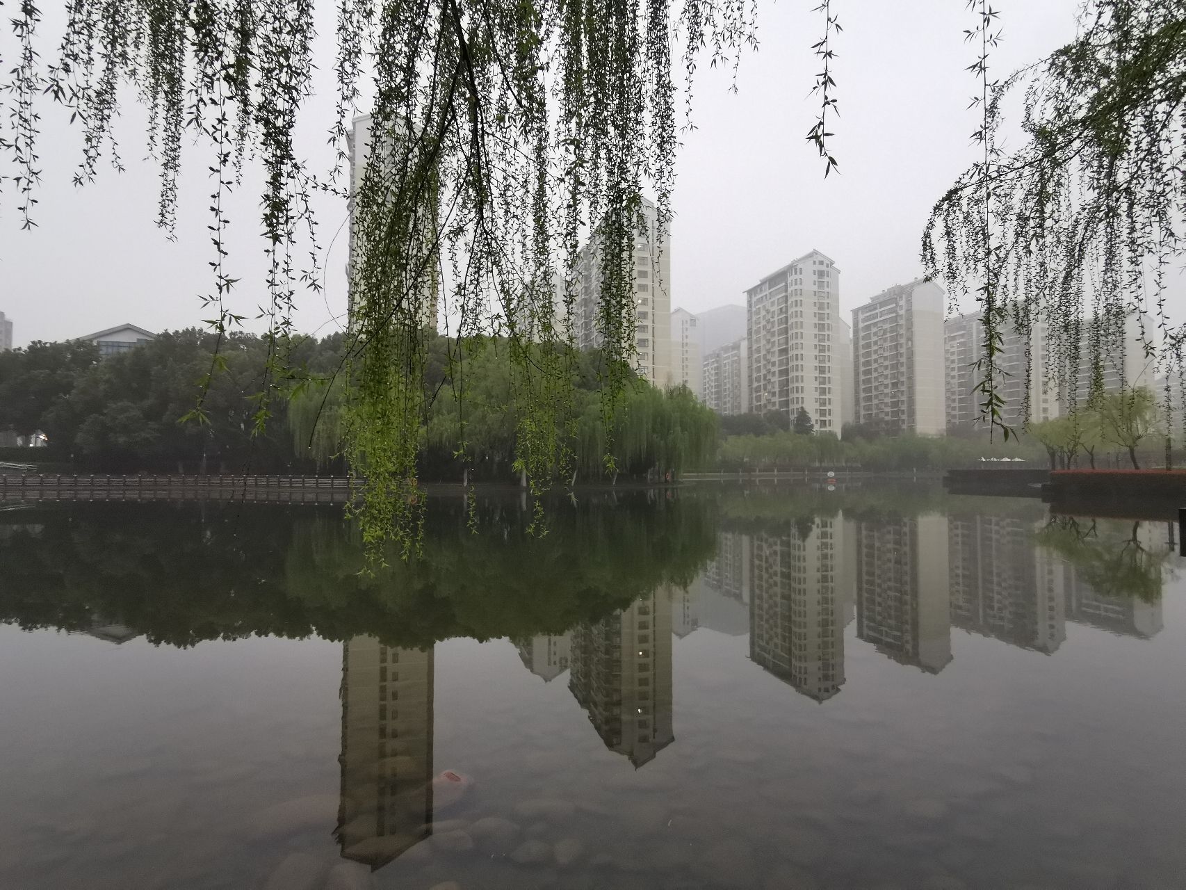 望湖公园旅行图片 1