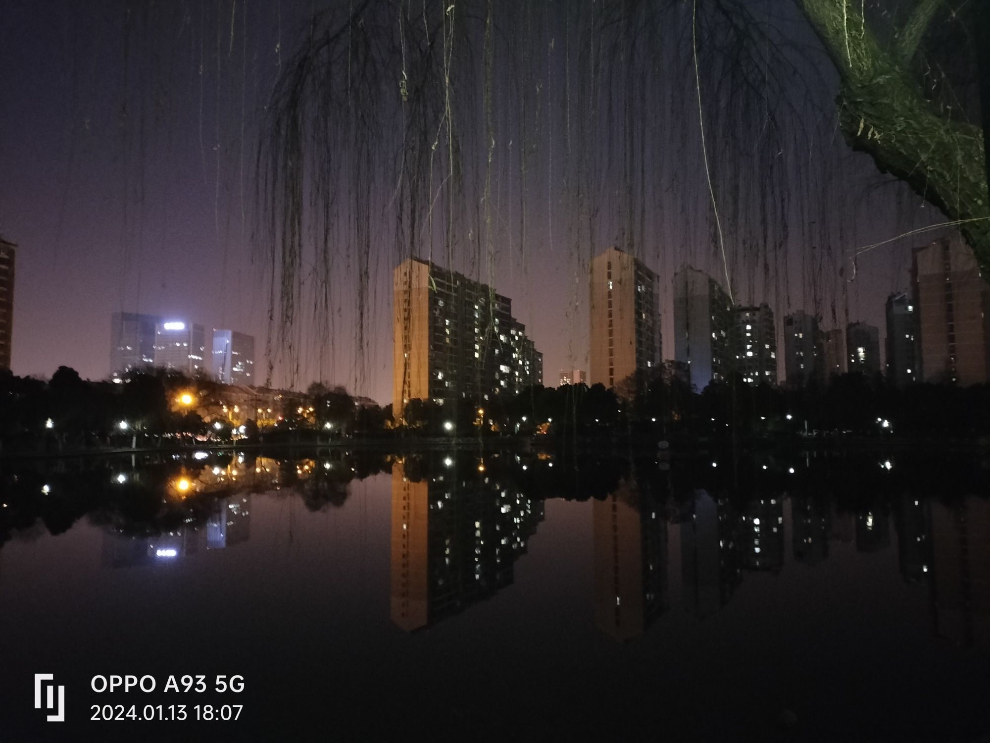 望湖公园旅行图片 3