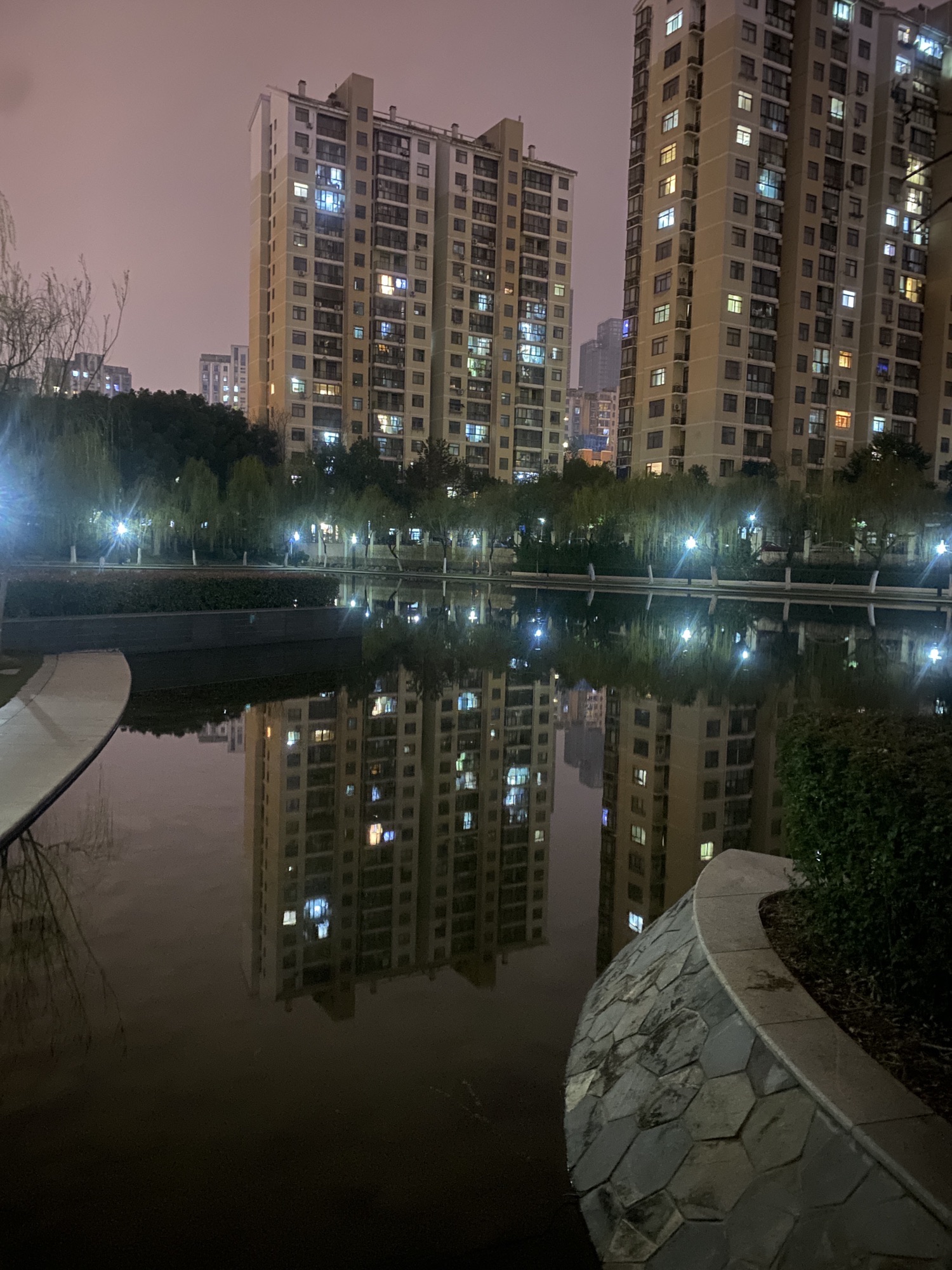 望湖公园旅行图片 3