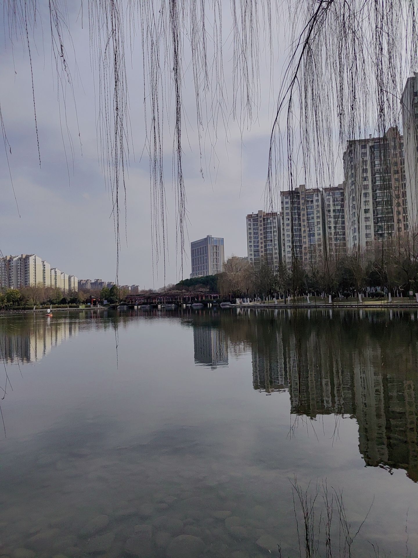 望湖公园旅行图片 1