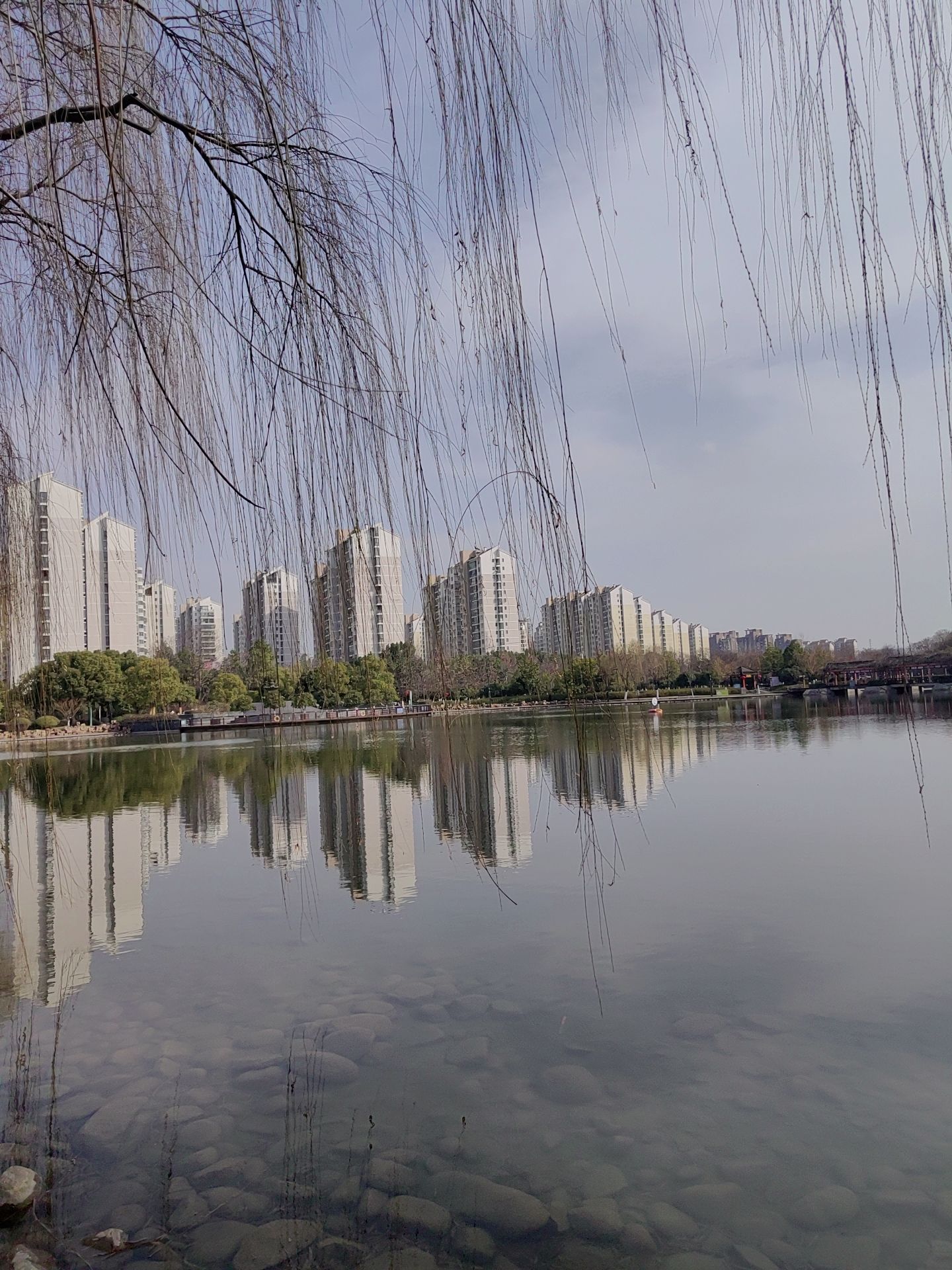 望湖公园旅行图片 2