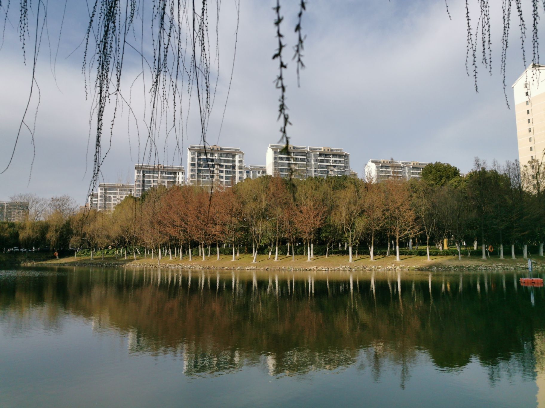 望湖公园旅行图片 3