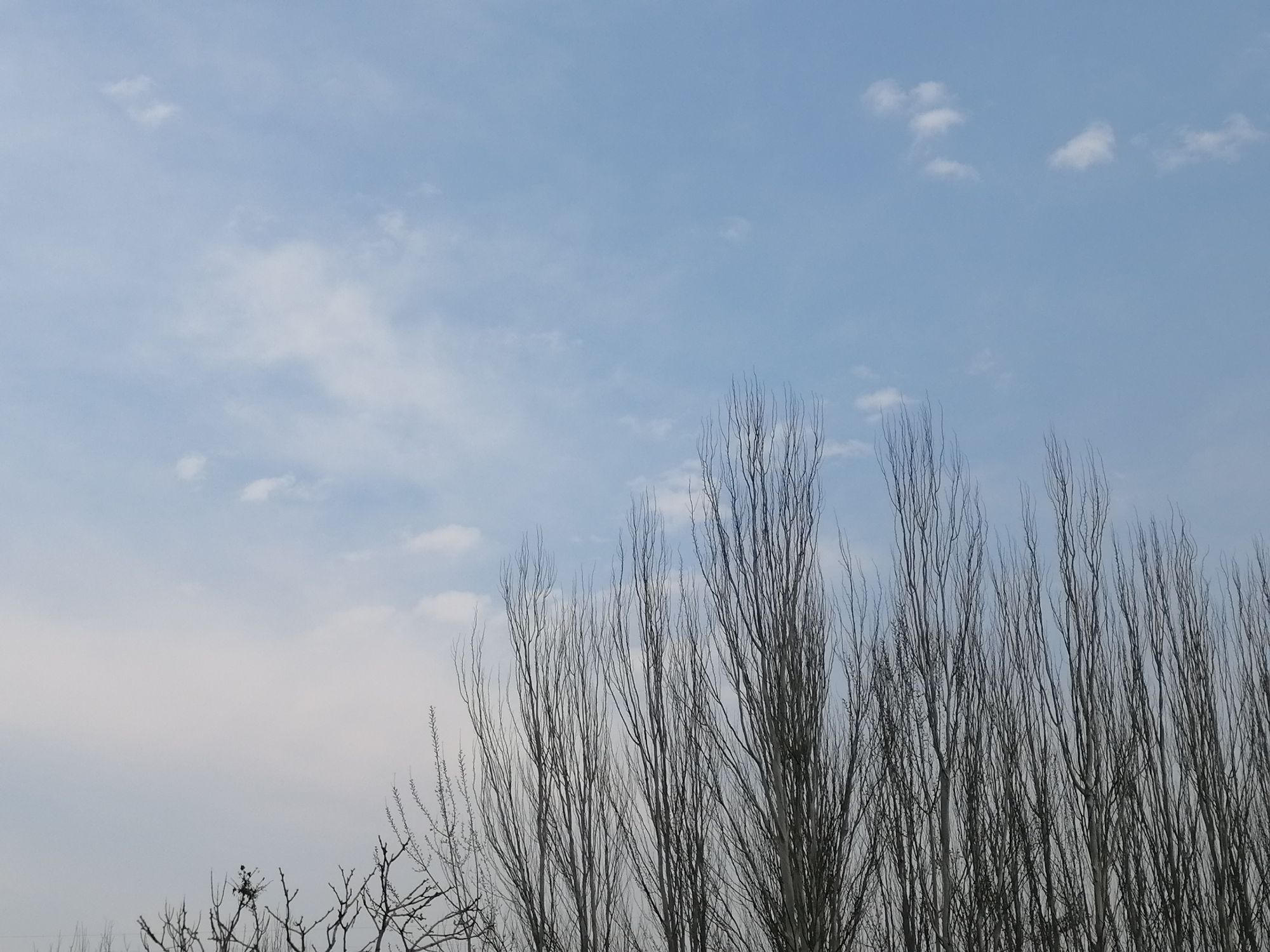 开发区龙湖公园旅行图片 2