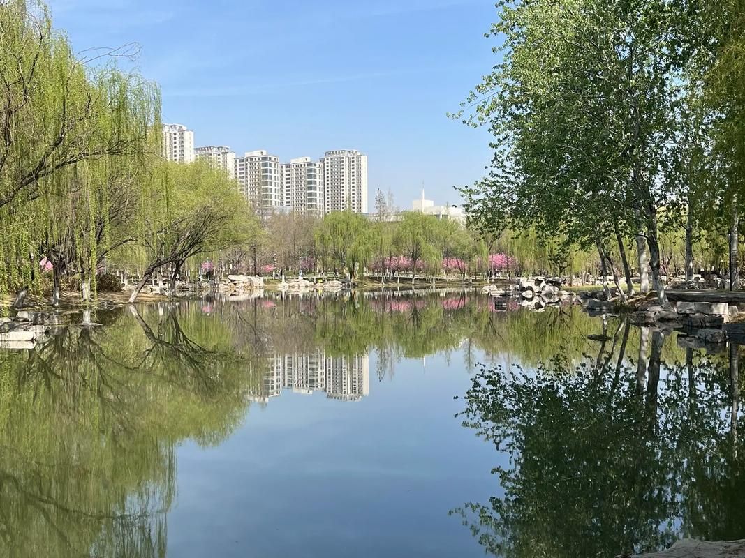 龙湖体育公园
