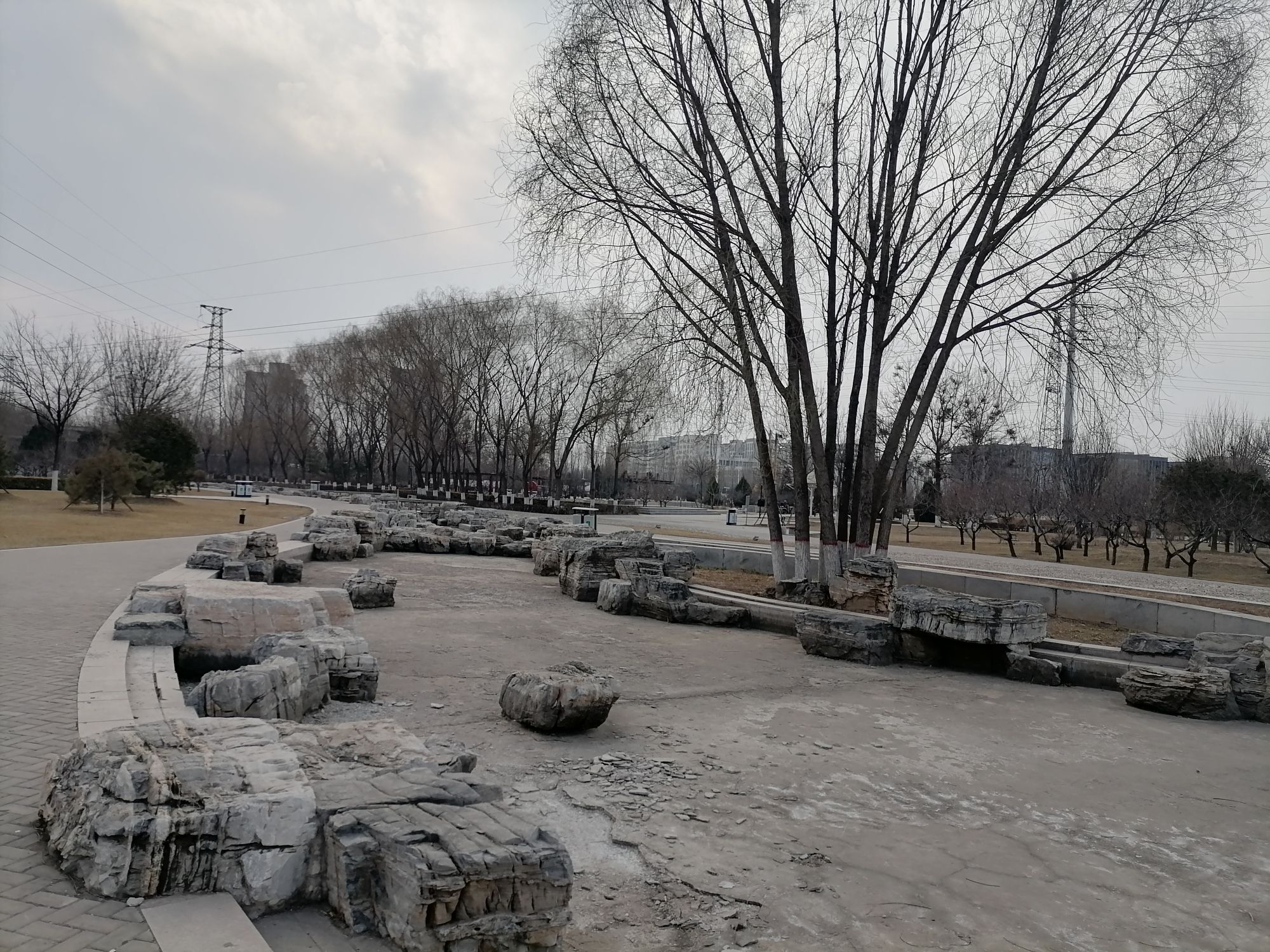 开发区龙湖公园旅行图片 3