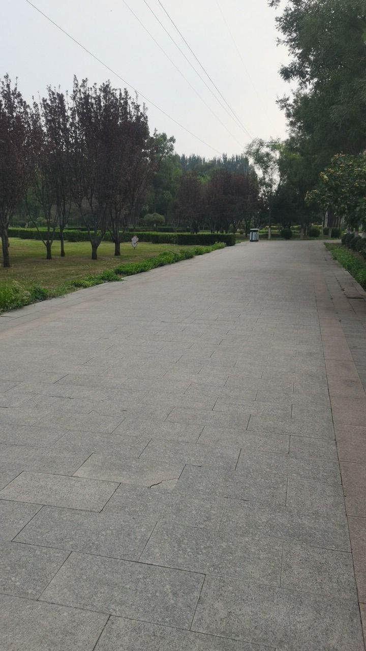 开发区龙湖公园旅行图片 2