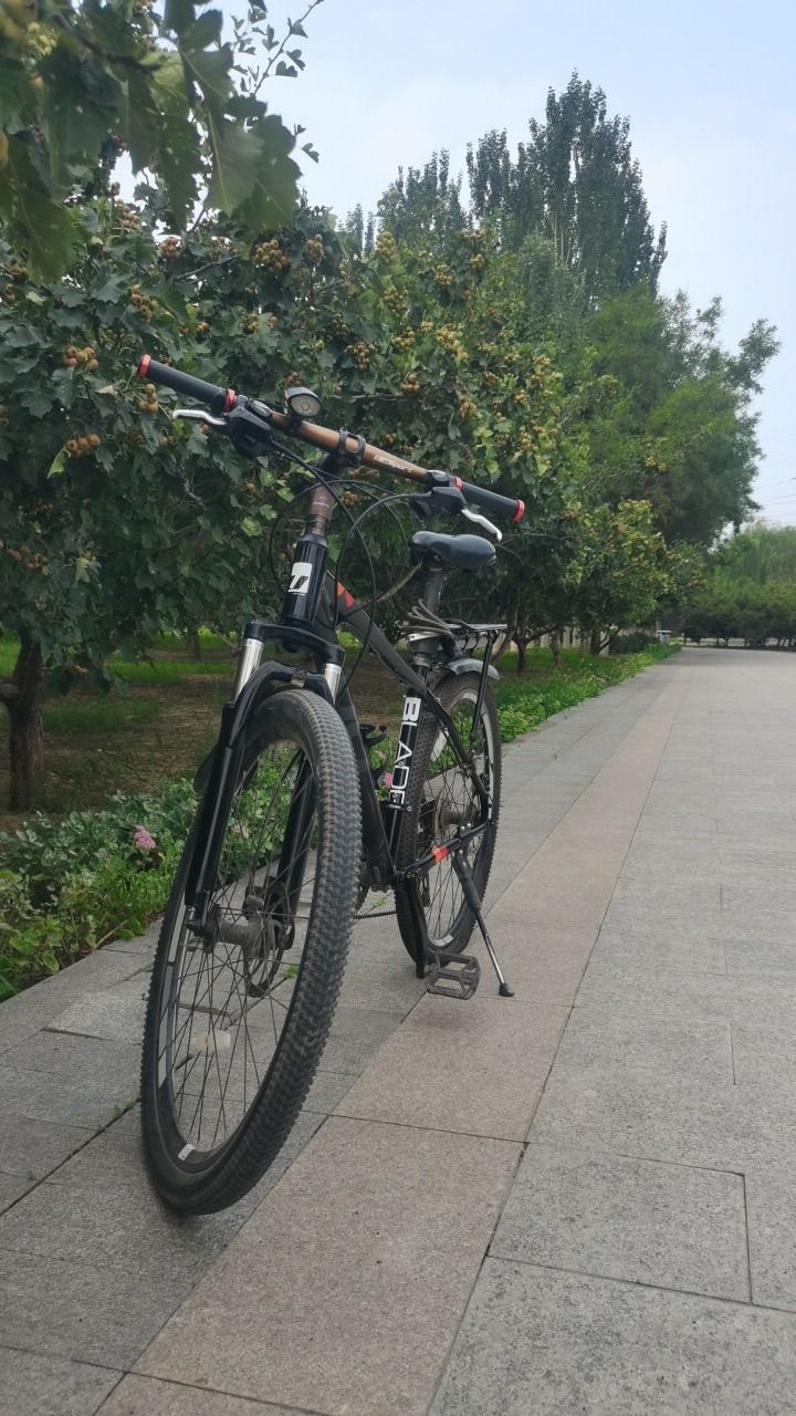 开发区龙湖公园旅行图片 1