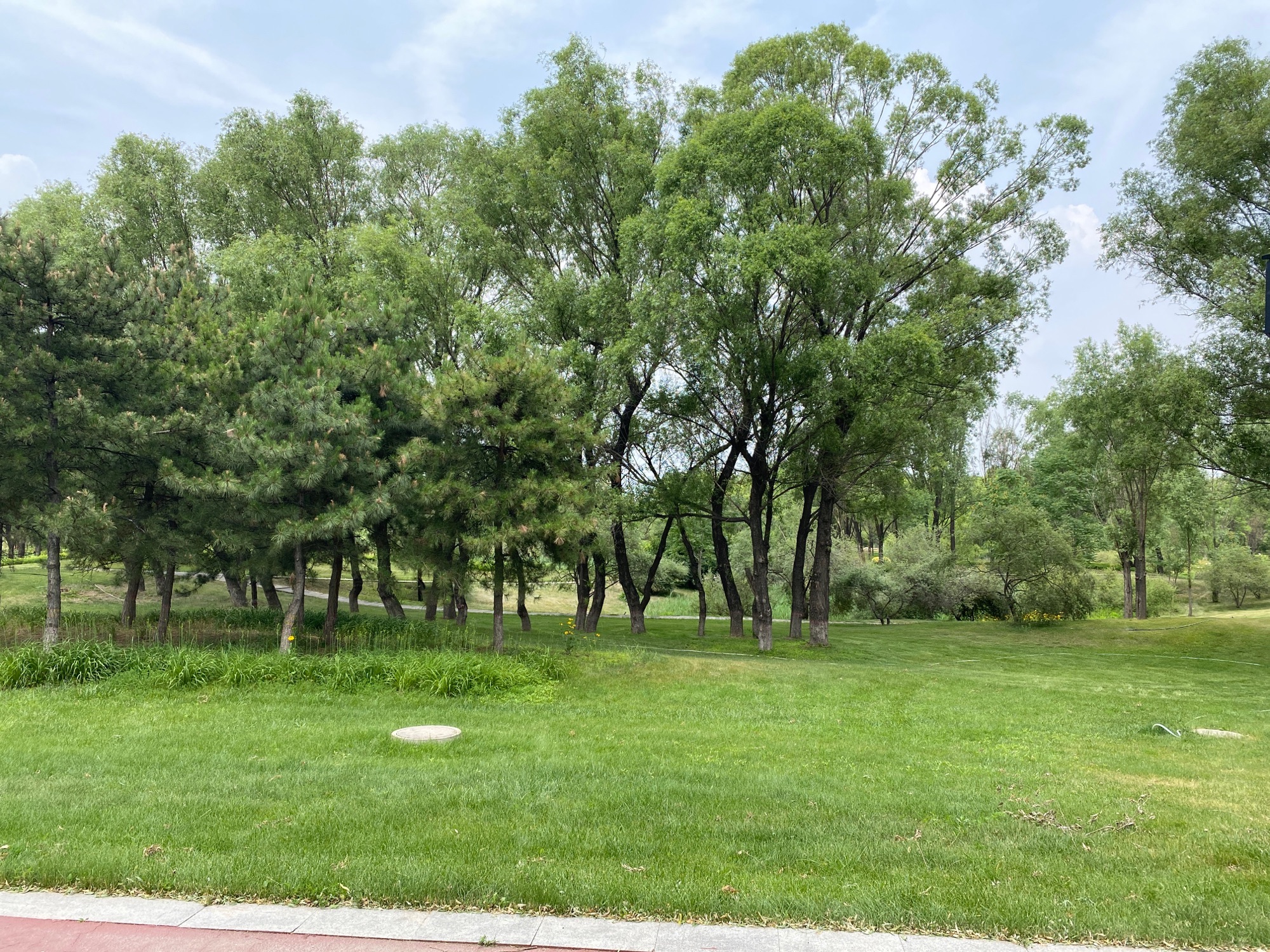 潇河湿地公园B区