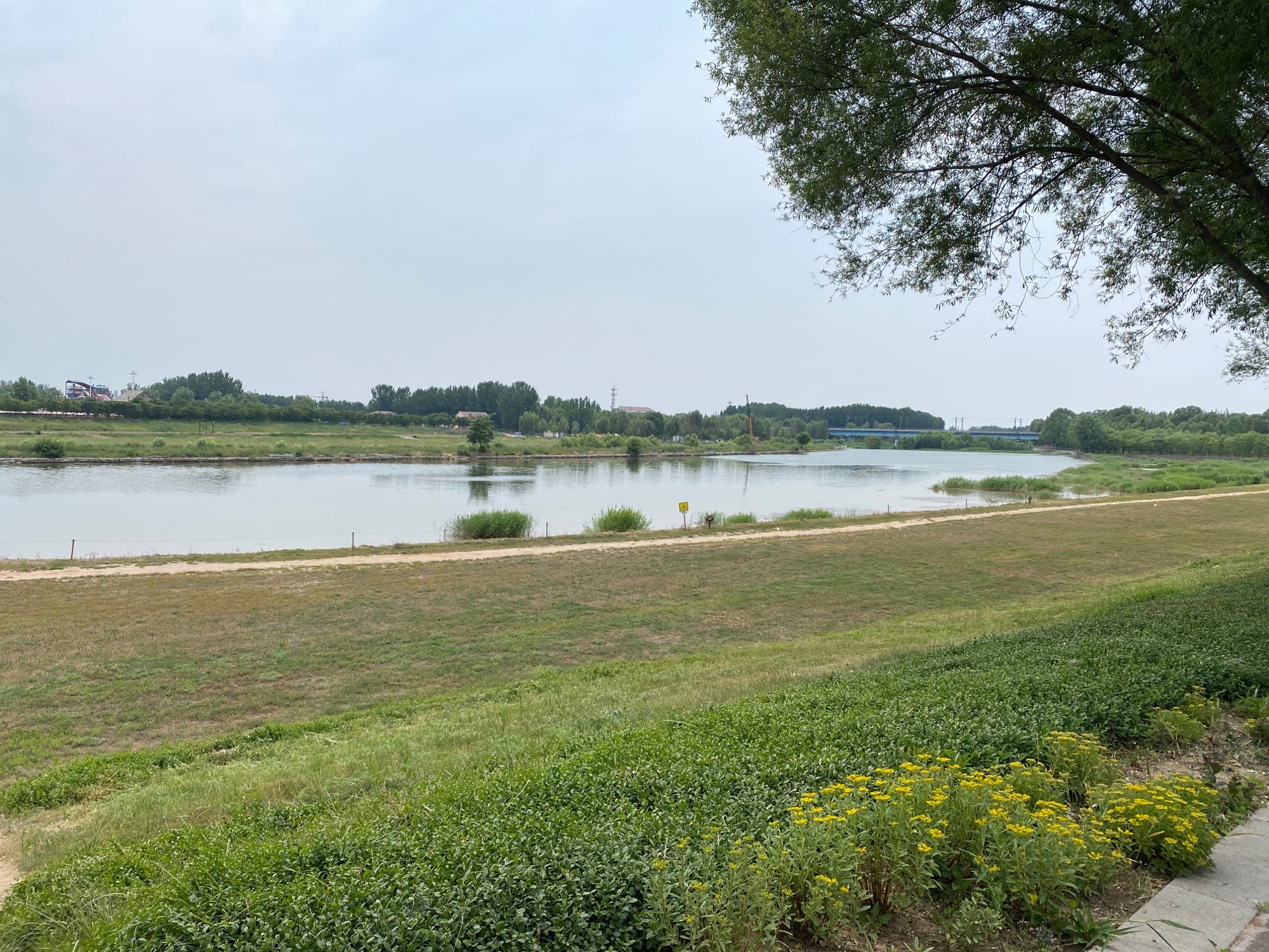 潇河湿地公园B区