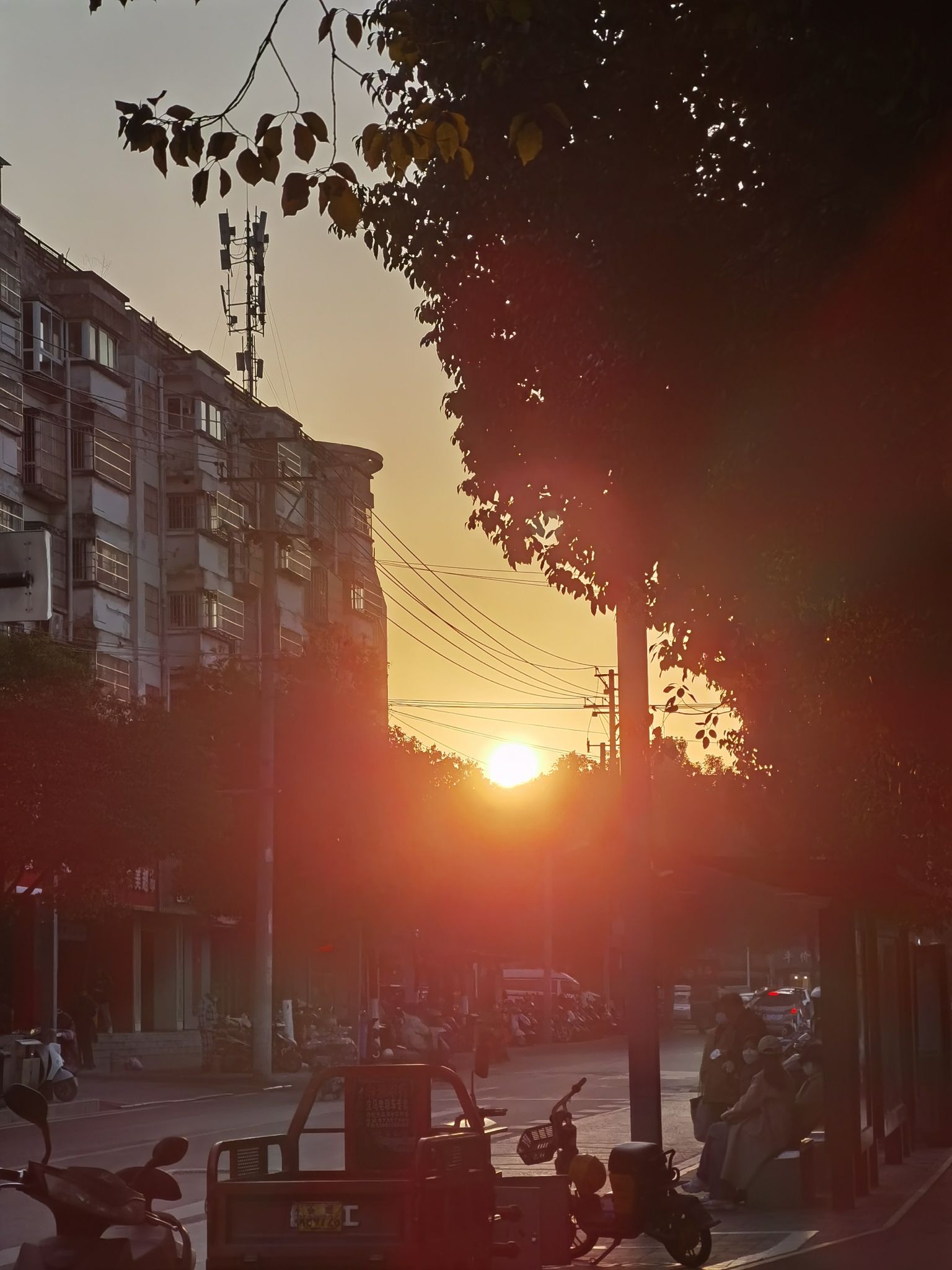 和平文化广场旅行图片 3