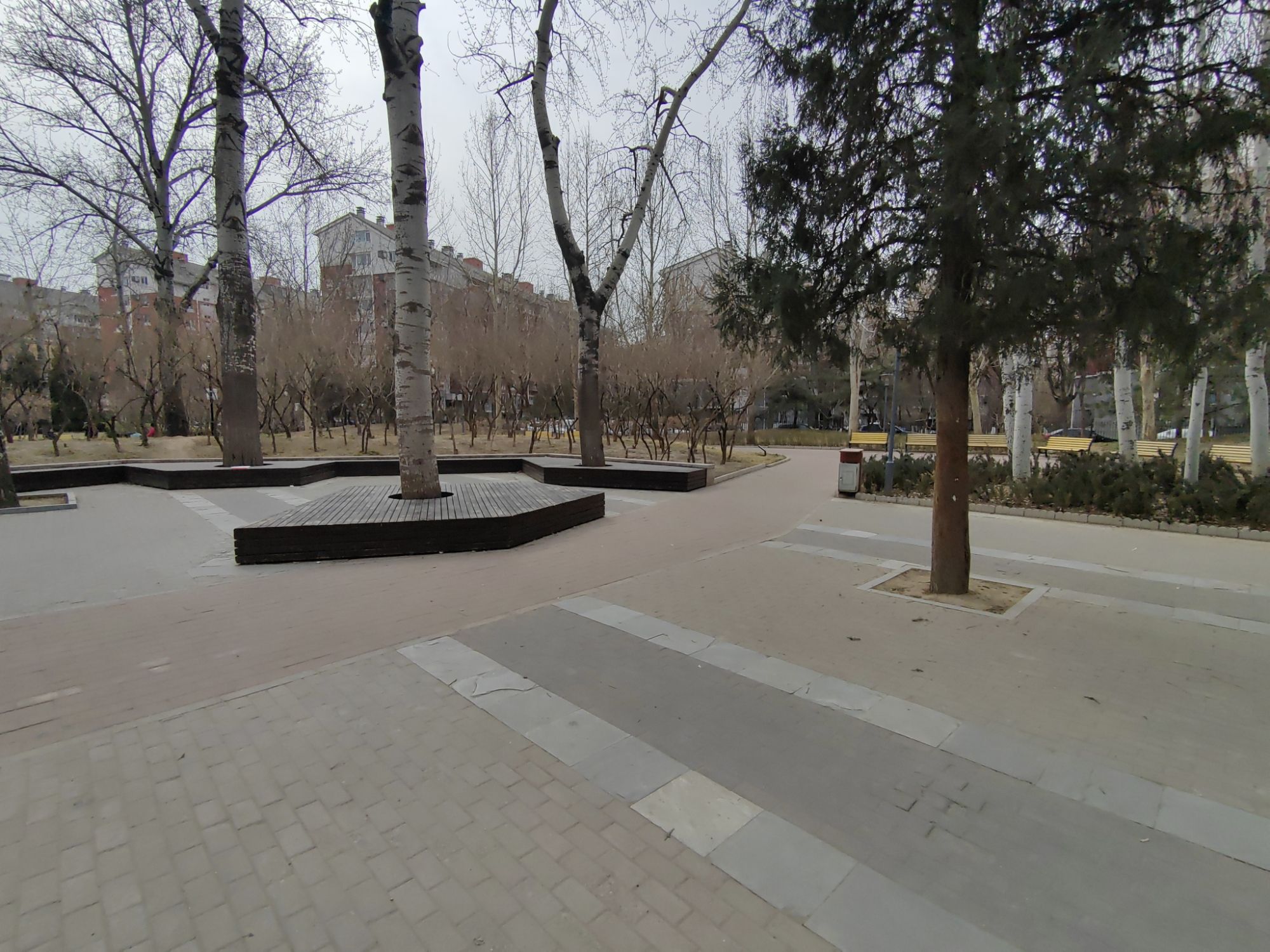 美和园公园旅行图片 1
