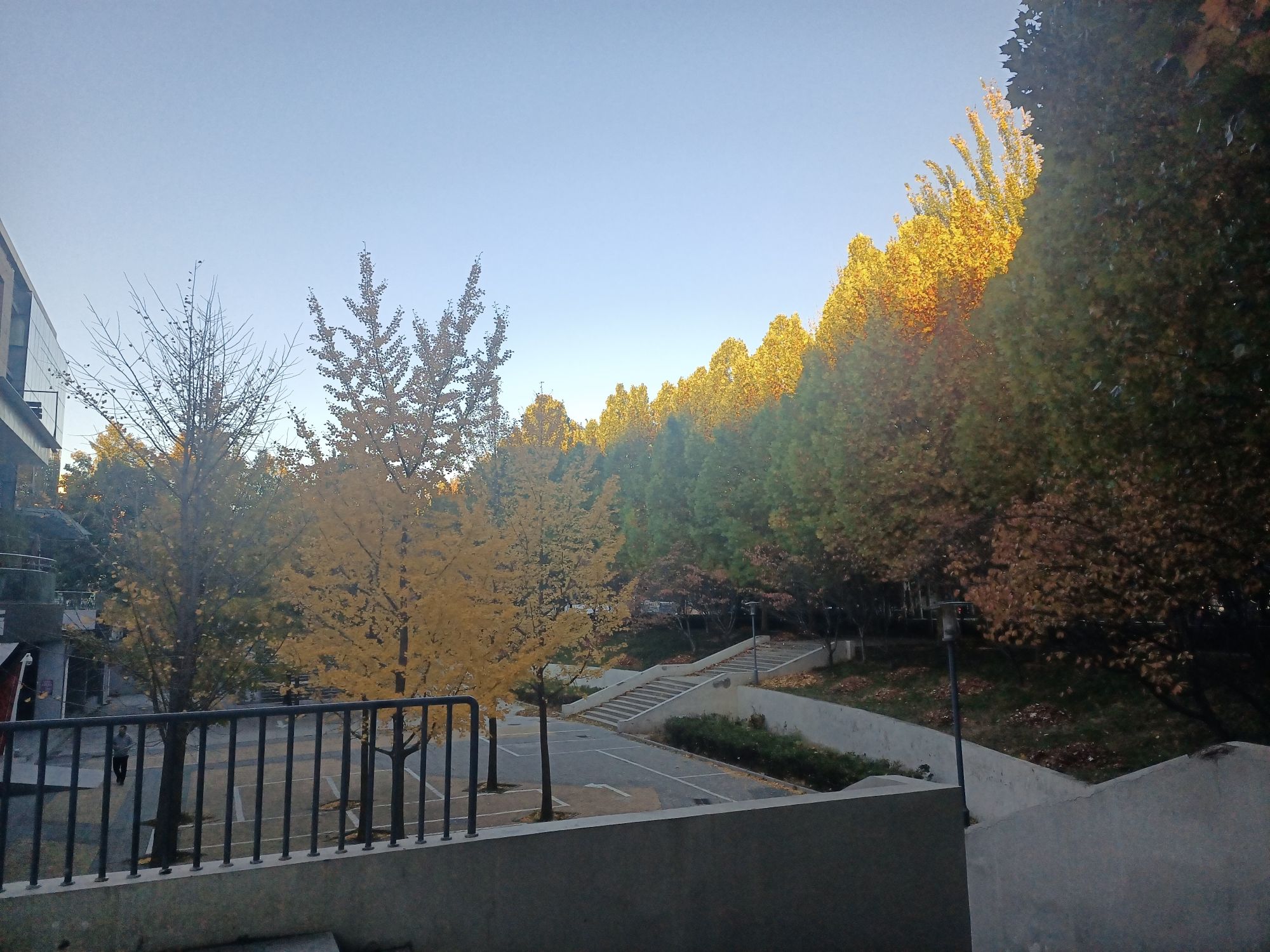 美和园公园旅行图片 1
