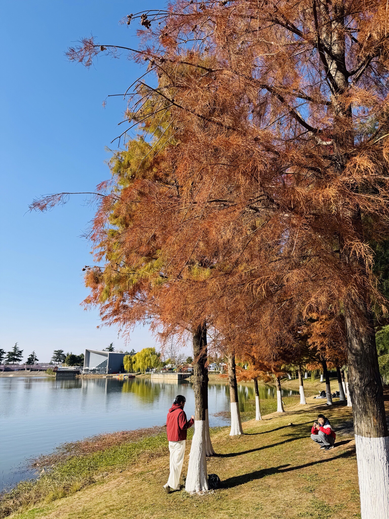 九龙湖旅行图片 2