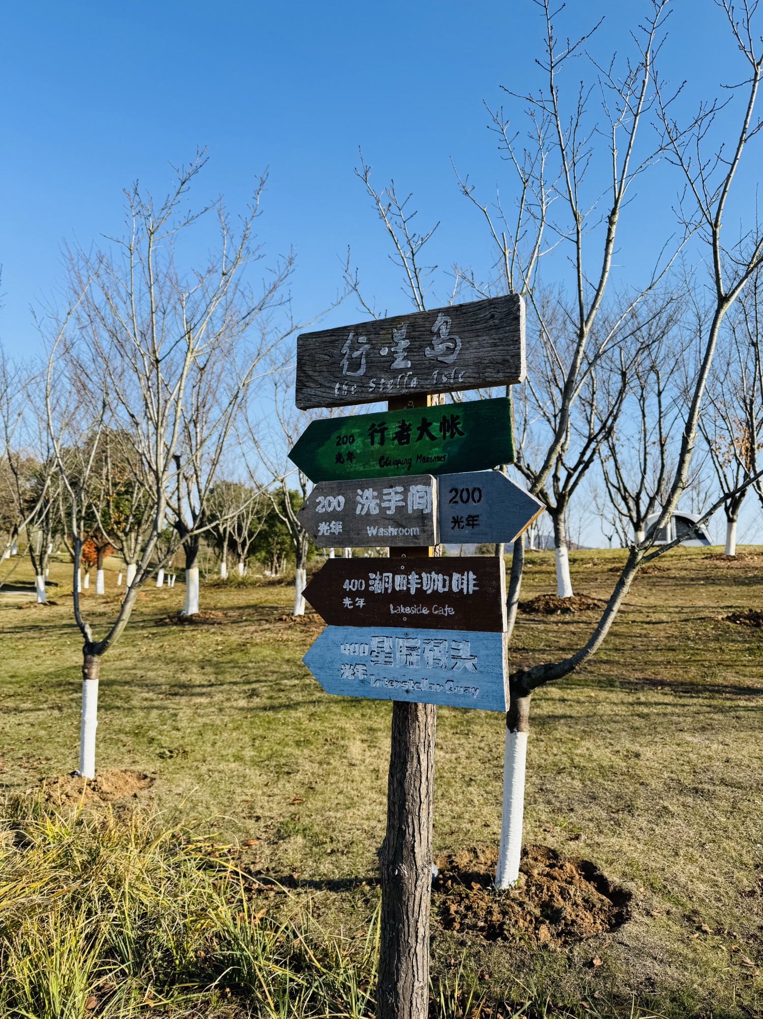 九龙湖旅行图片 3