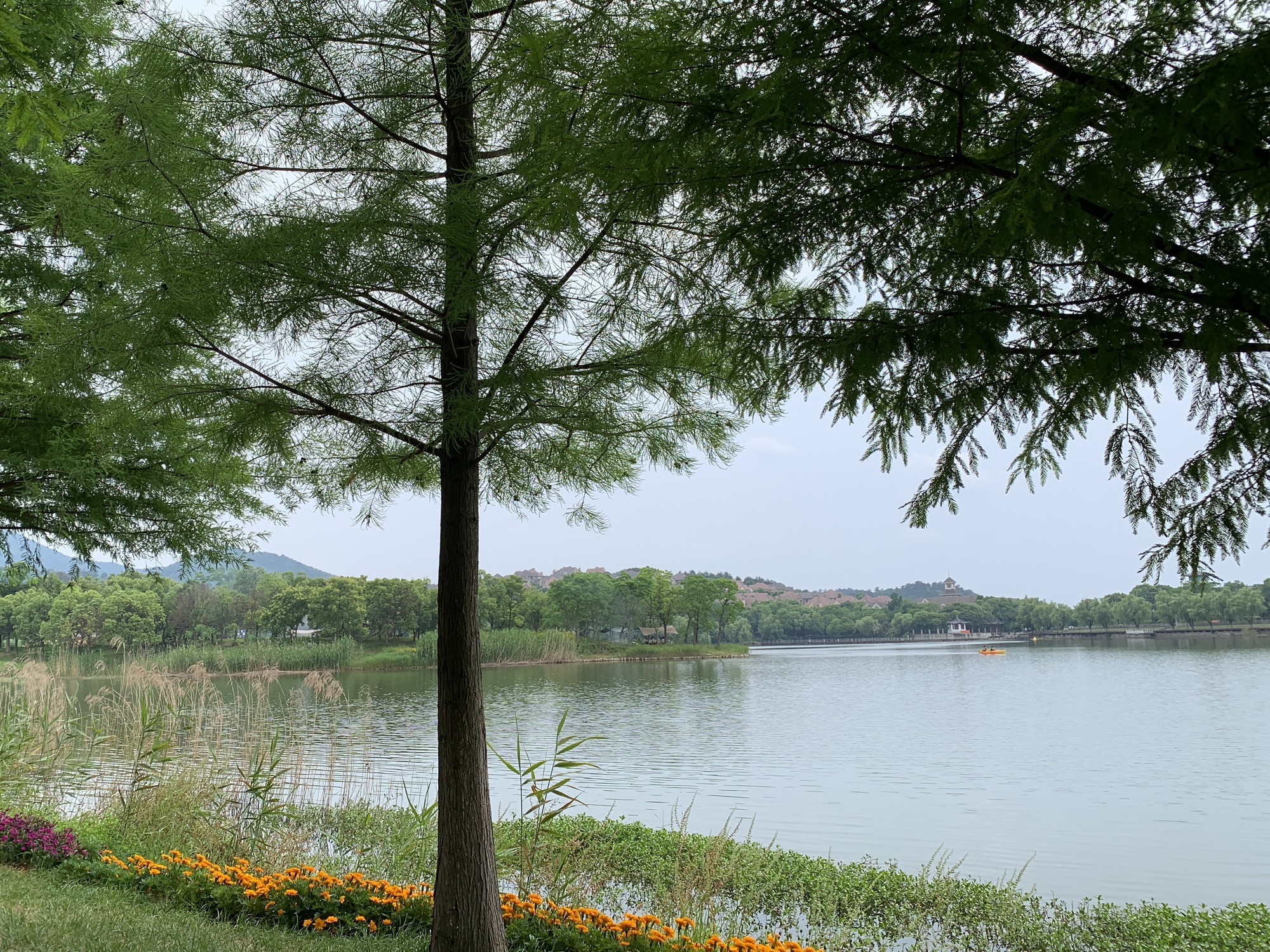 九龙湖旅行图片 2