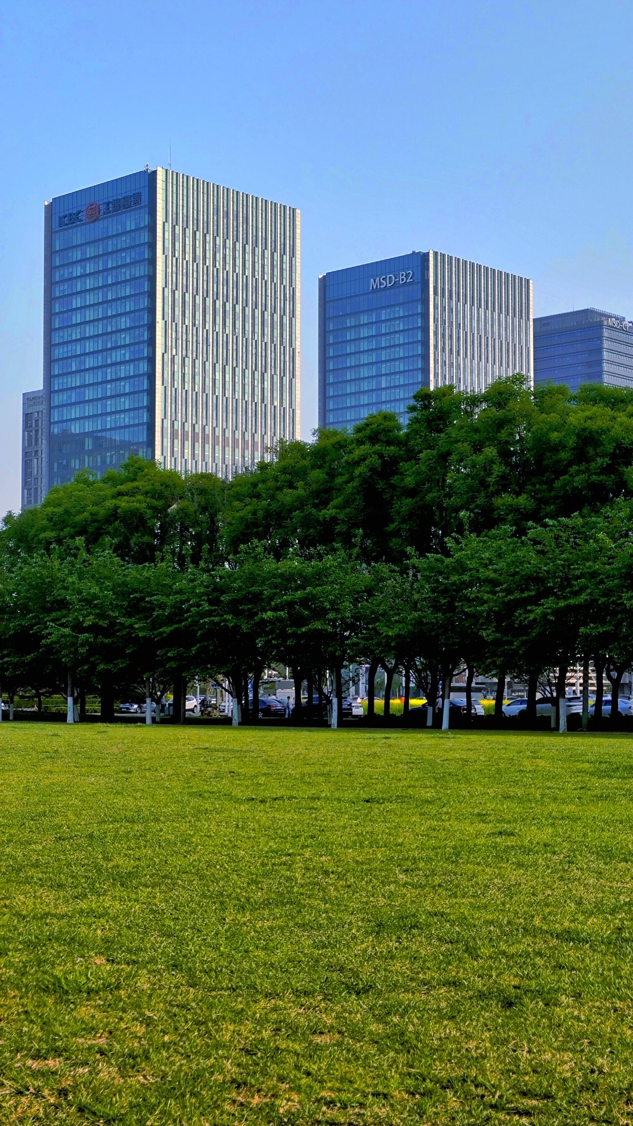 泰达城市公园旅行图片 3