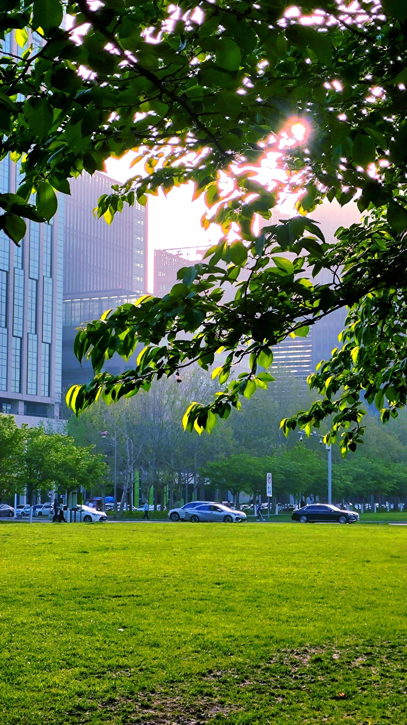 泰达城市公园旅行图片 2